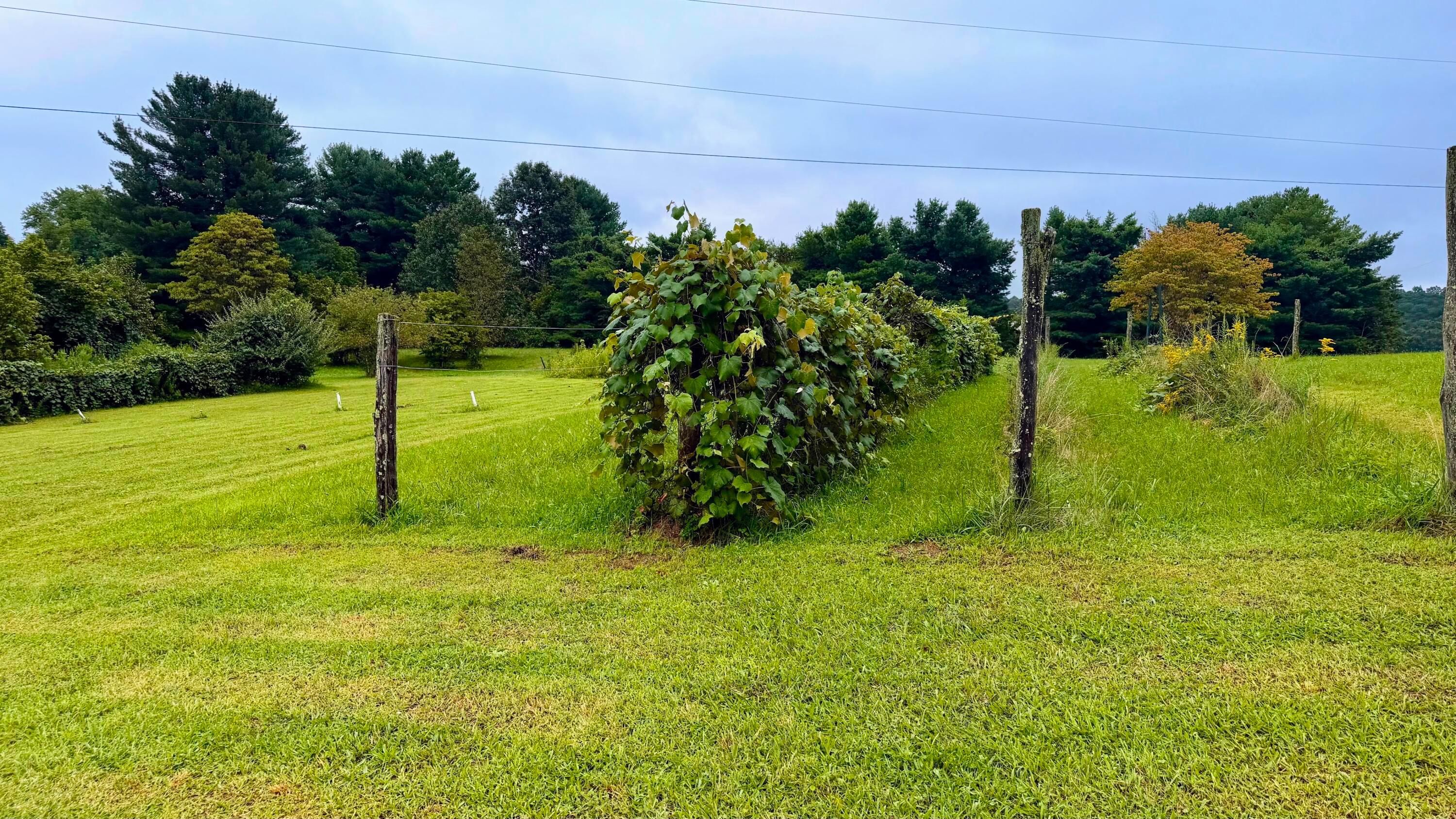 101 Us Highway 33 Property Photo 4