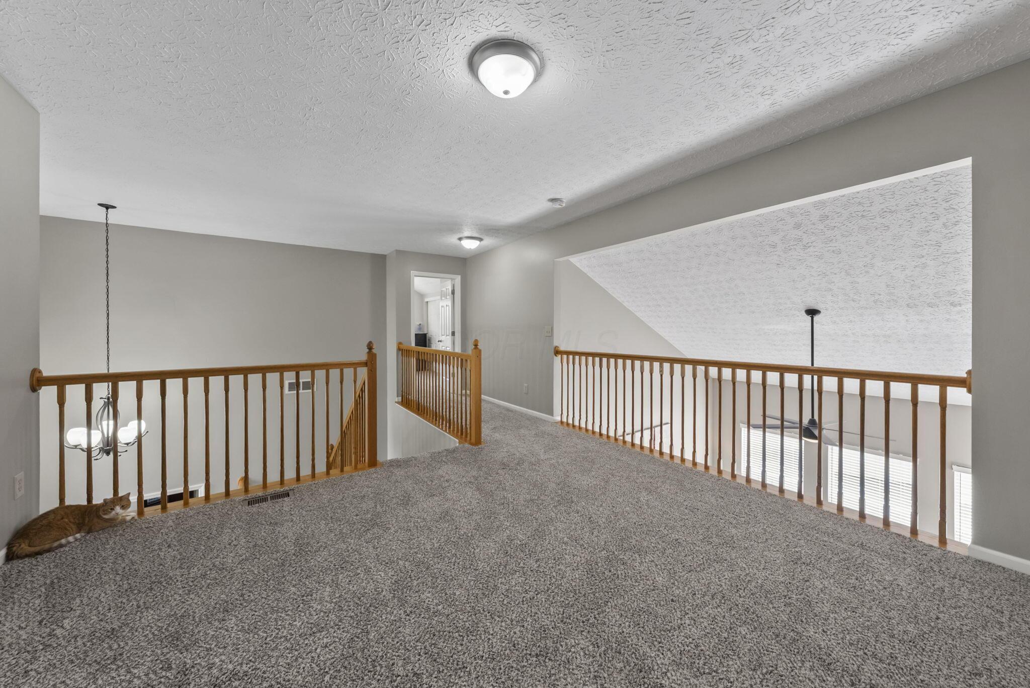 717 Preston Trails Drive Property Photo 26