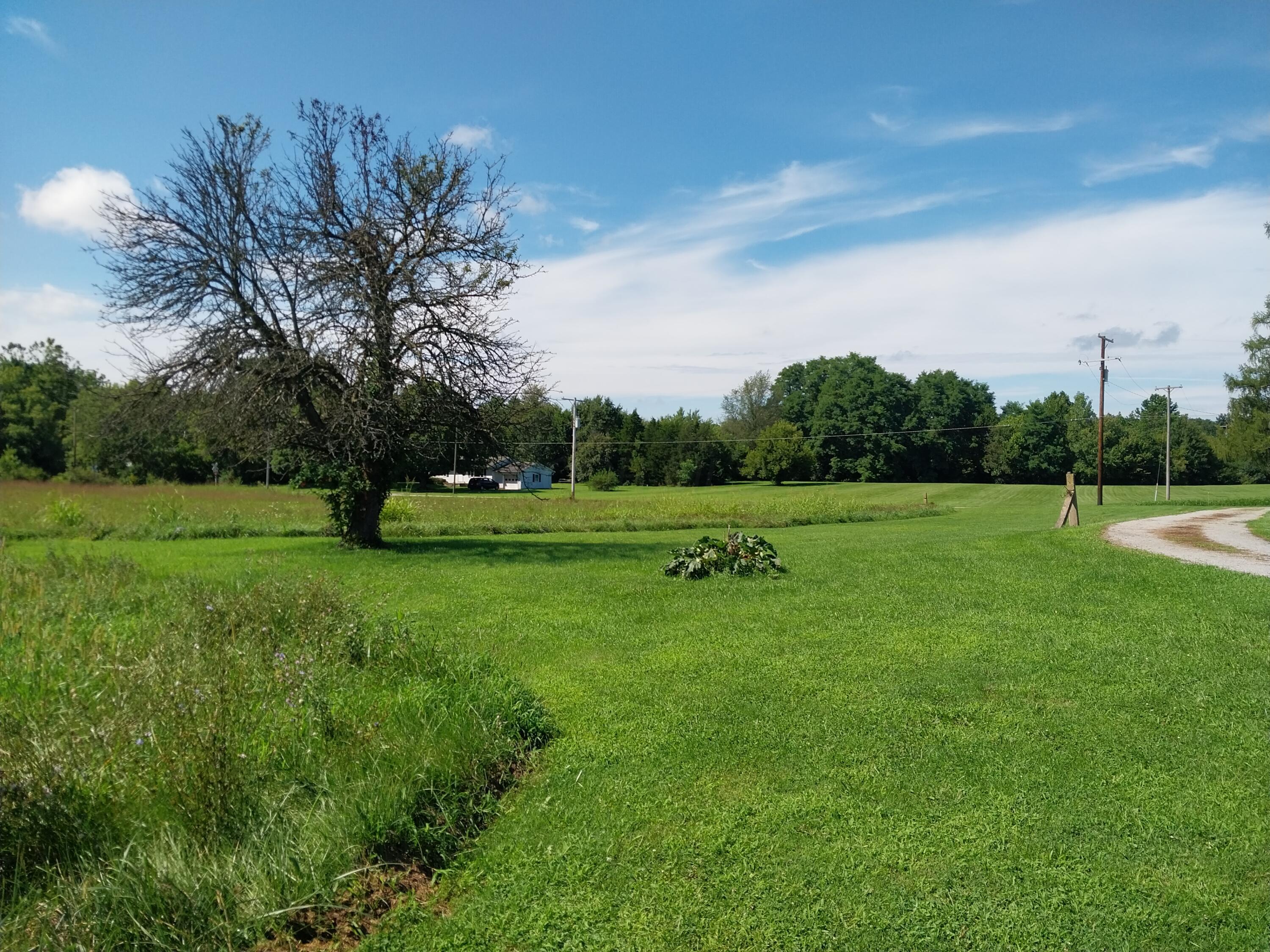9182 Rapid Forge Road Property Photo 21