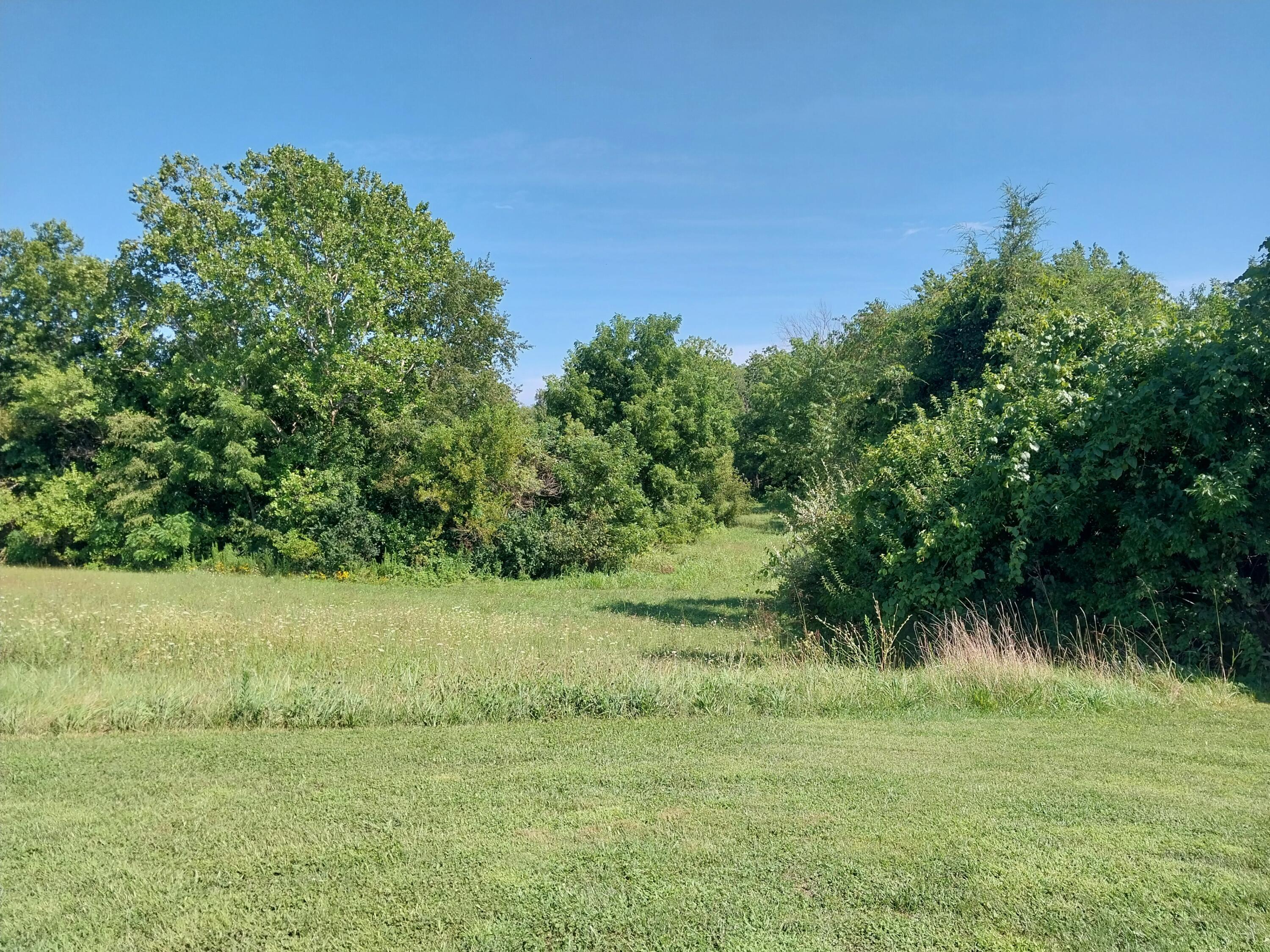 9182 Rapid Forge Road Property Photo 22