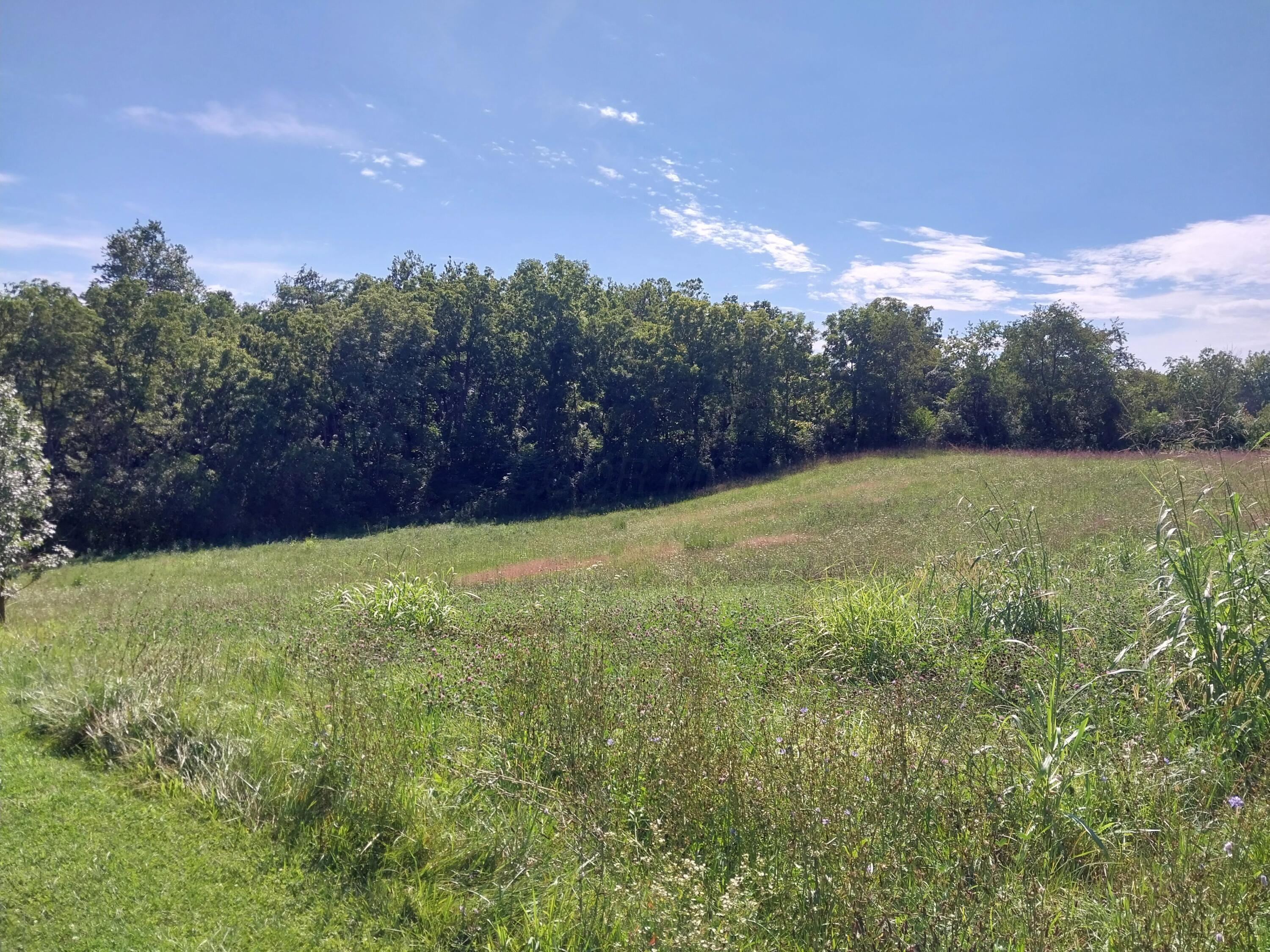9182 Rapid Forge Road Property Photo 23