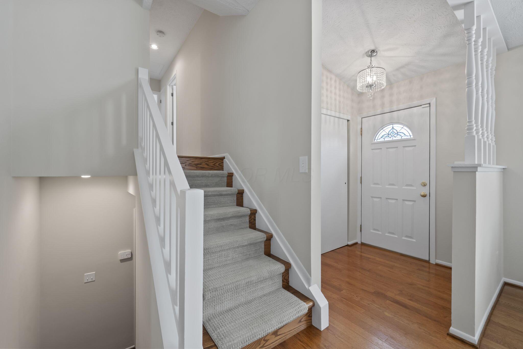 3700 Mountshannon Road Property Photo 14