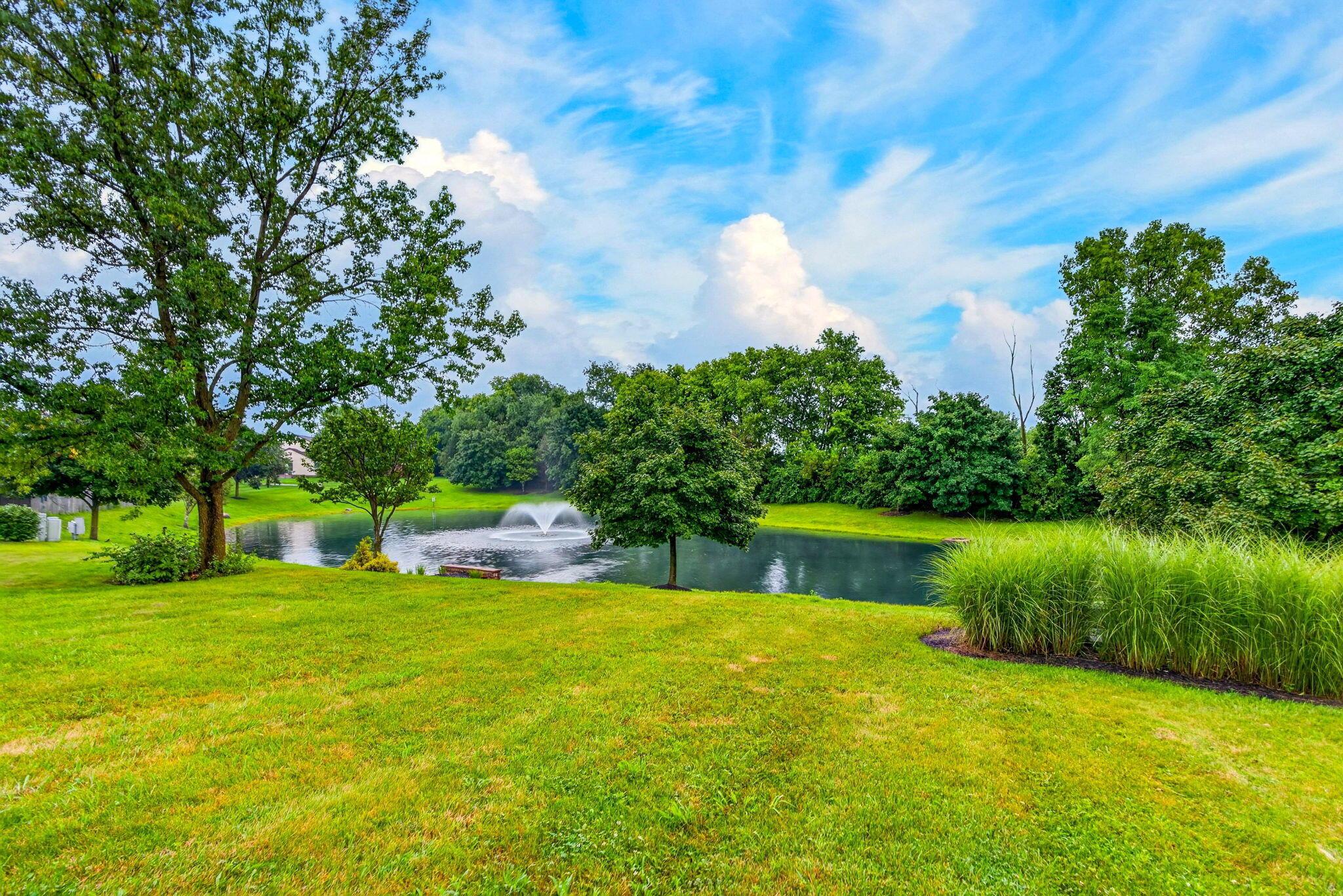 699 Scioto Meadows Boulevard Property Photo 10