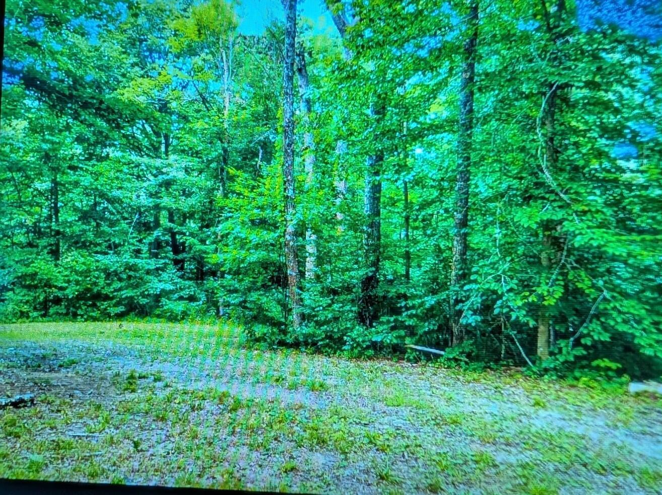 9884 State Rt 93 Property Photo 3