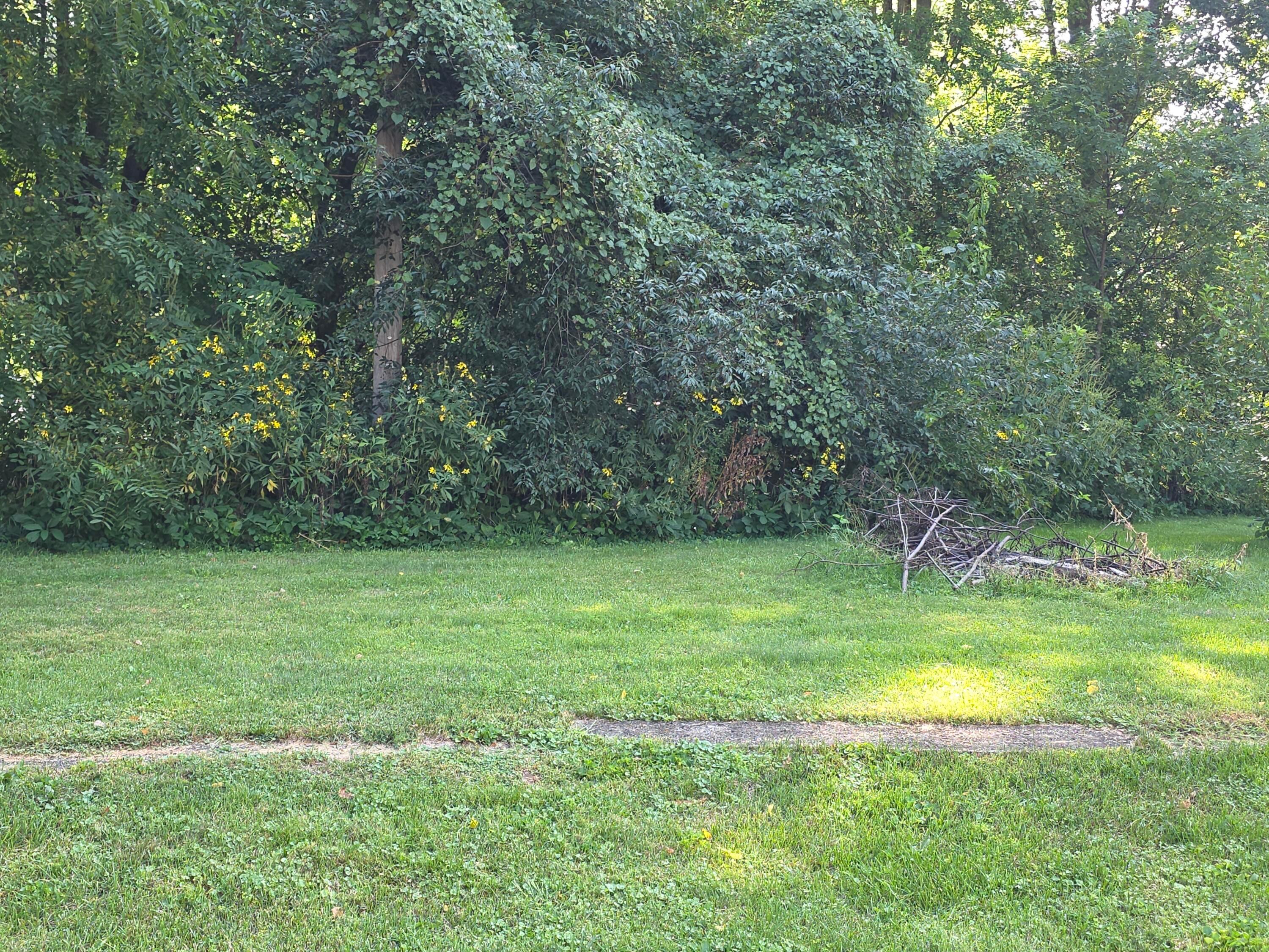 2617 County Road 59 Property Photo 23
