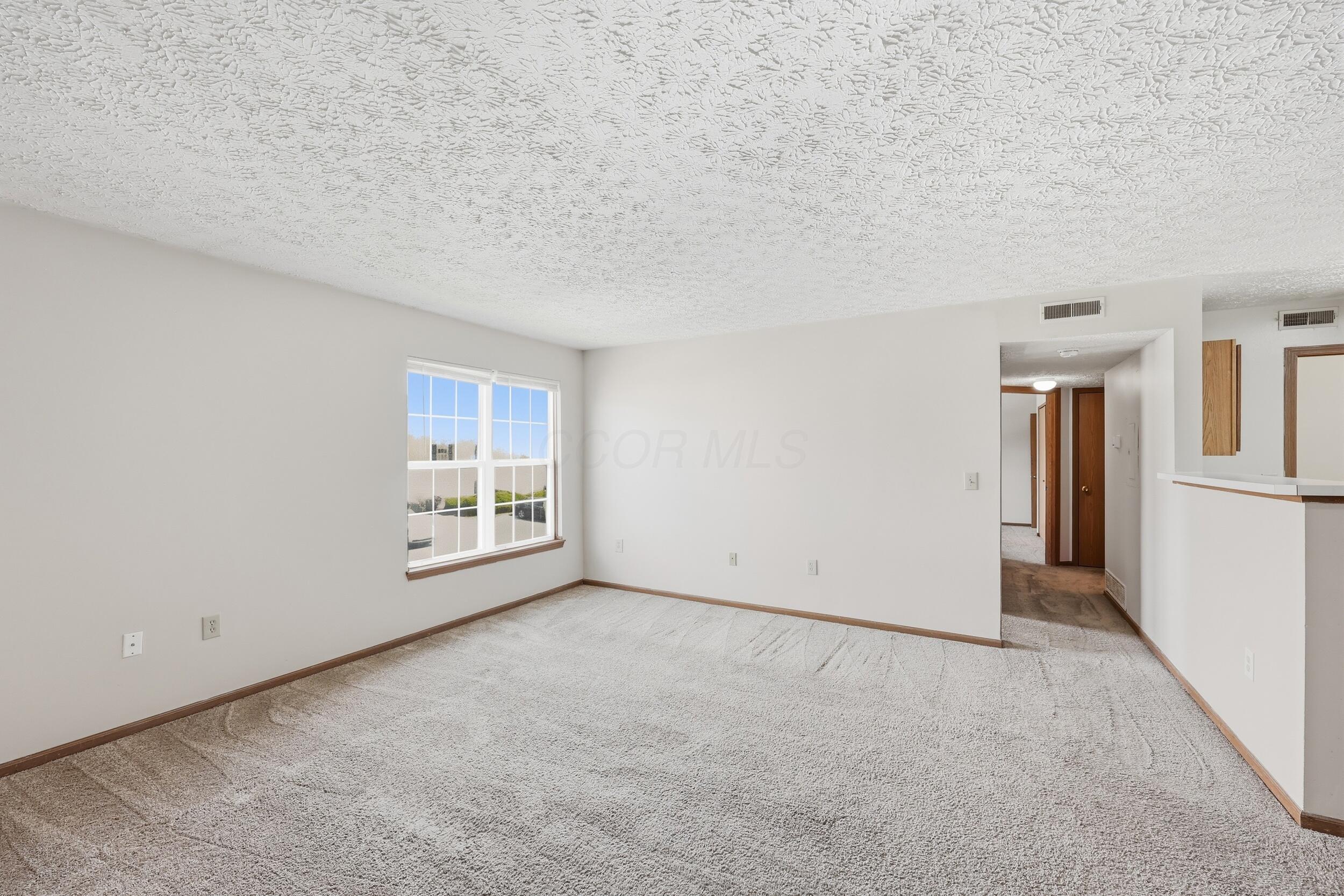 5561 Cedar Spring Property Photo 3