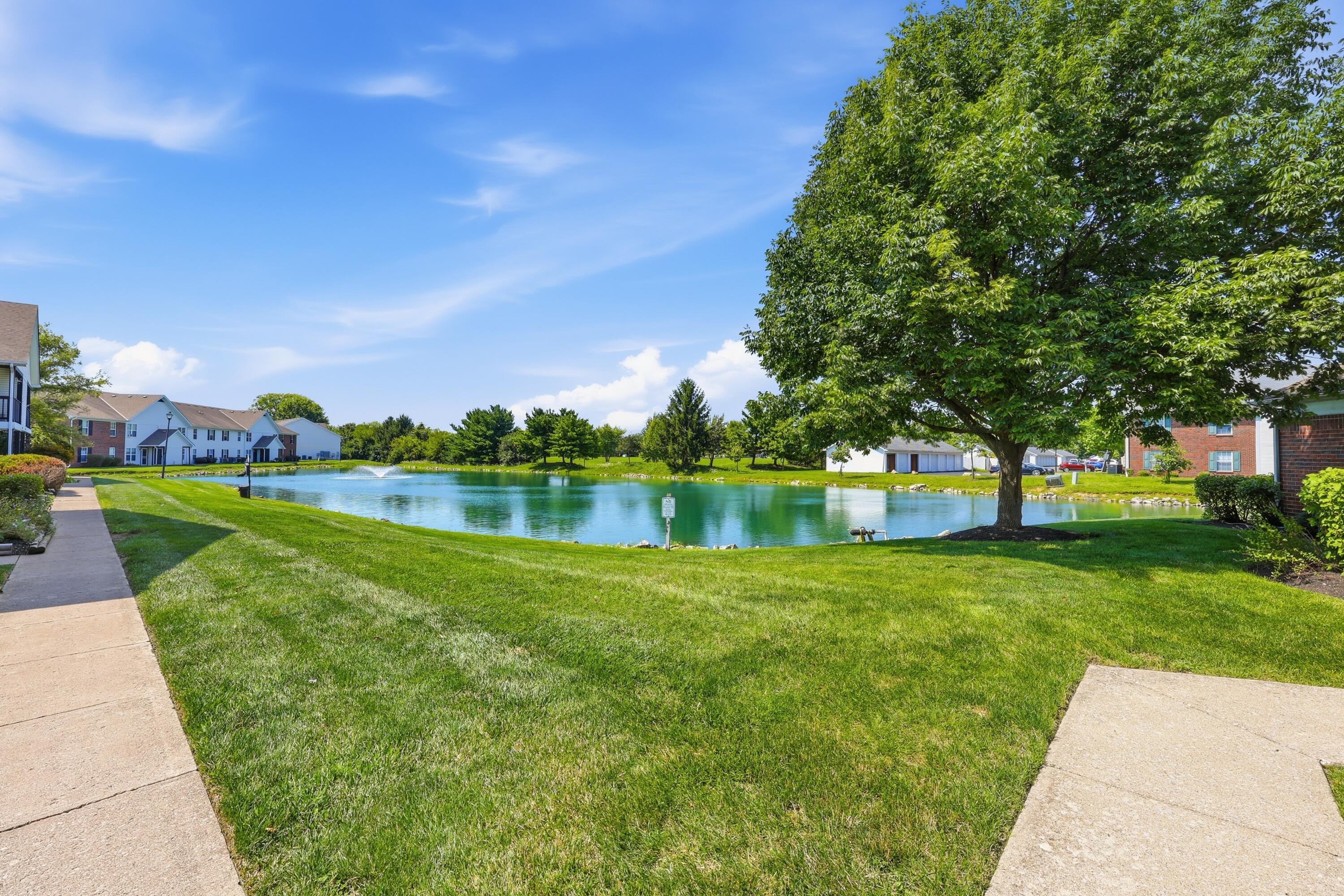 5561 Cedar Spring Property Photo 14