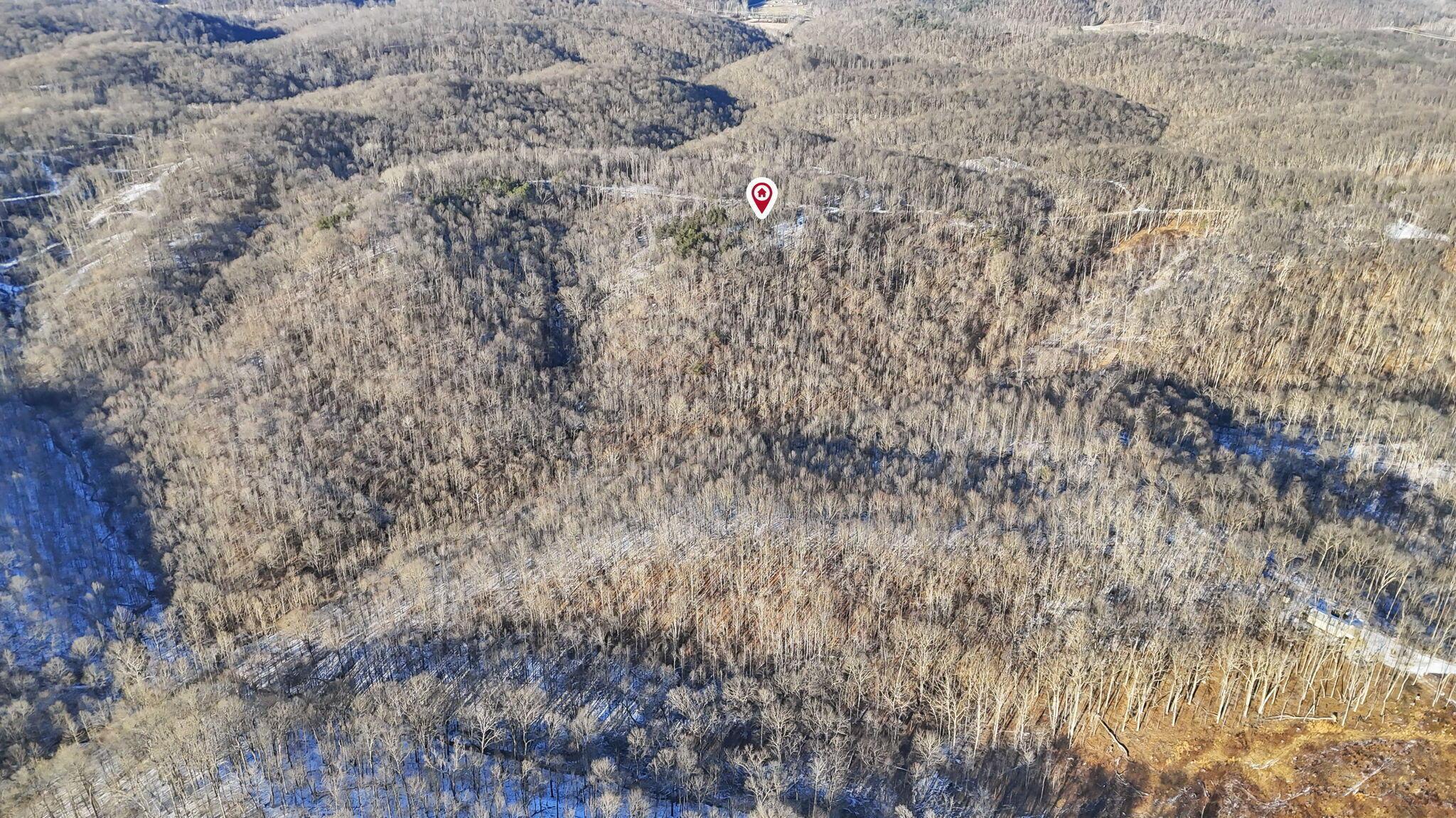 29225 Gearing Ridge Road Property Photo 52