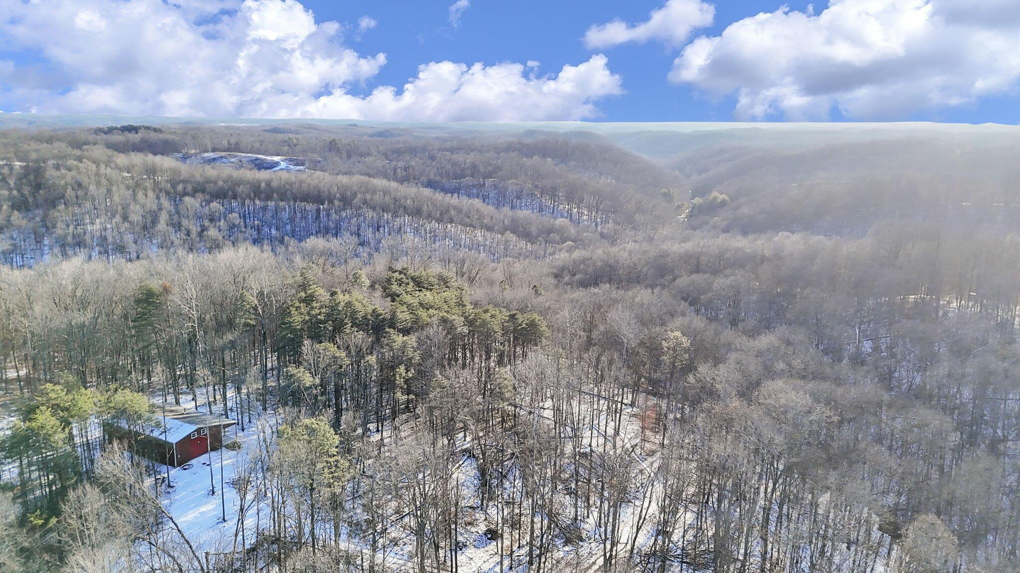 29225 Gearing Ridge Road Property Photo 58