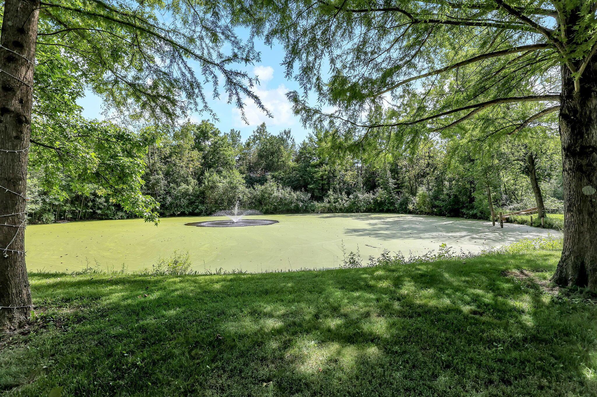 548 Amity Road Property Photo 49