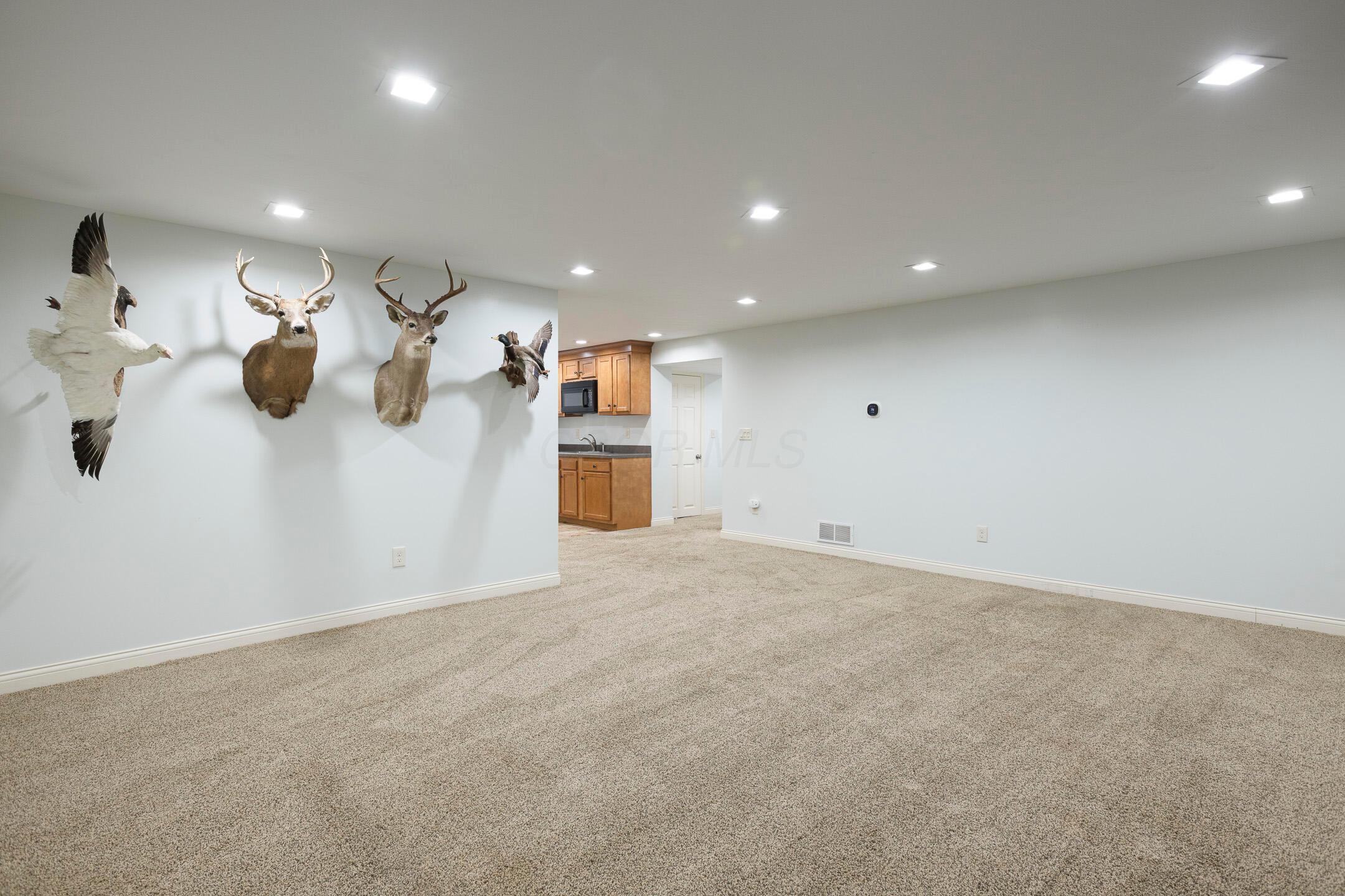 6290 Harlem Road Property Photo 48