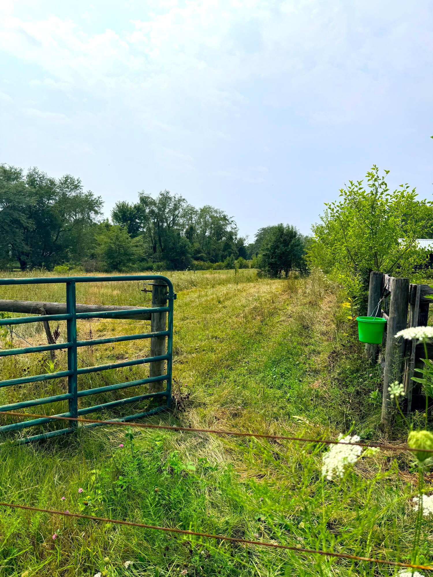 4899 Wilson Road Property Photo 5