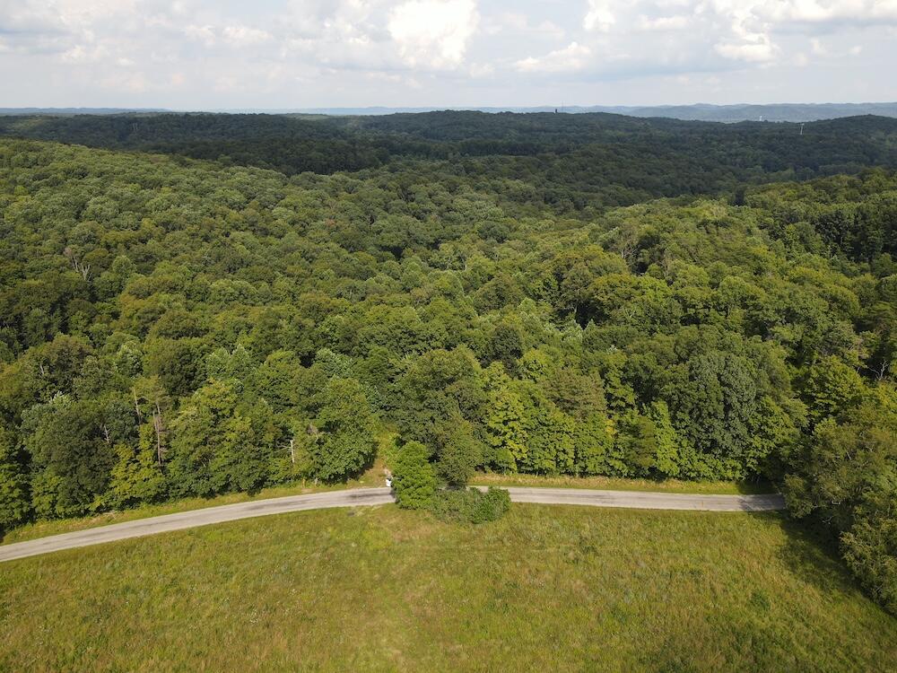 45690 Cox Road Property Photo 1