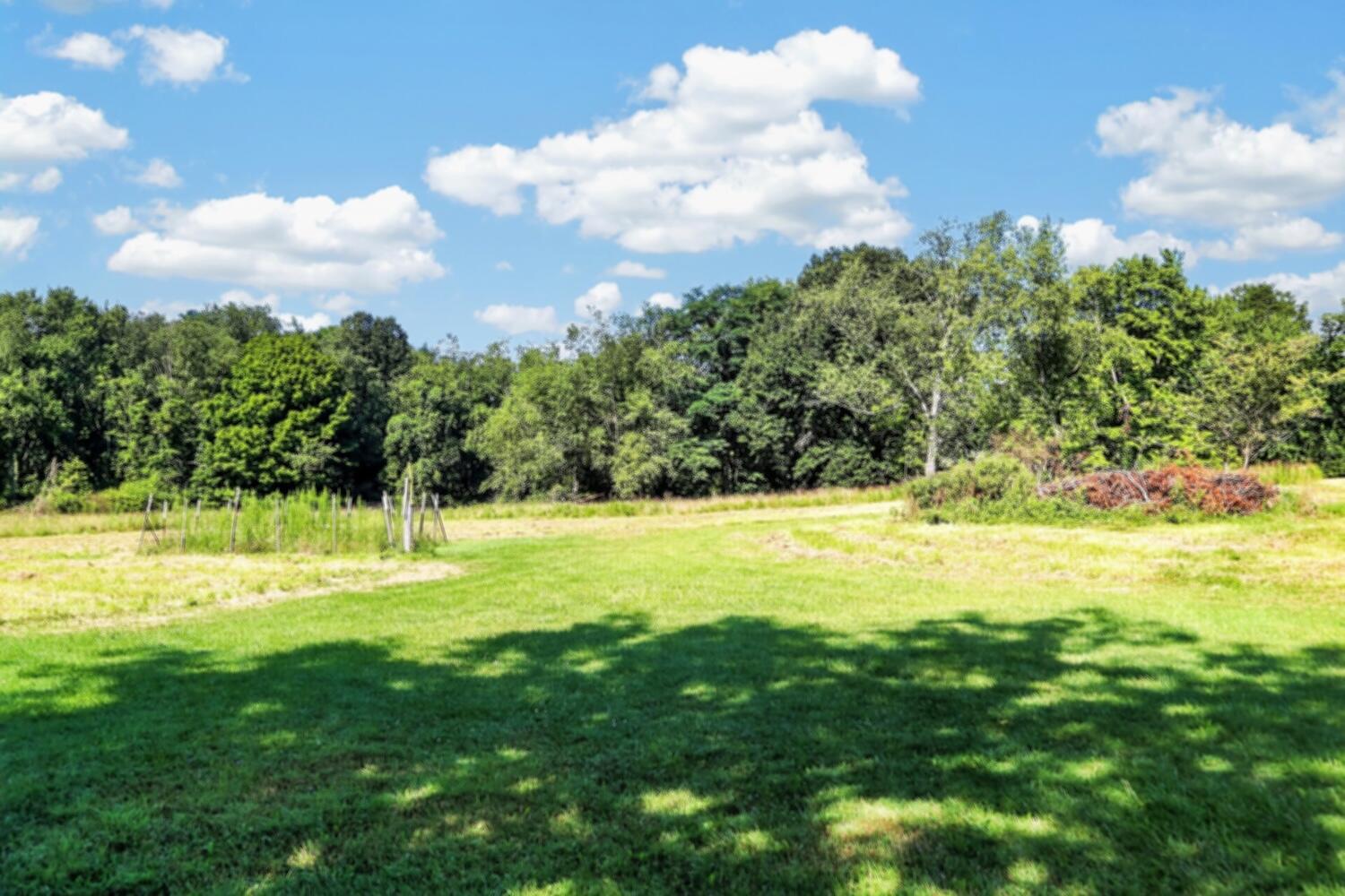 1729 Vernonview Drive Property Photo 14