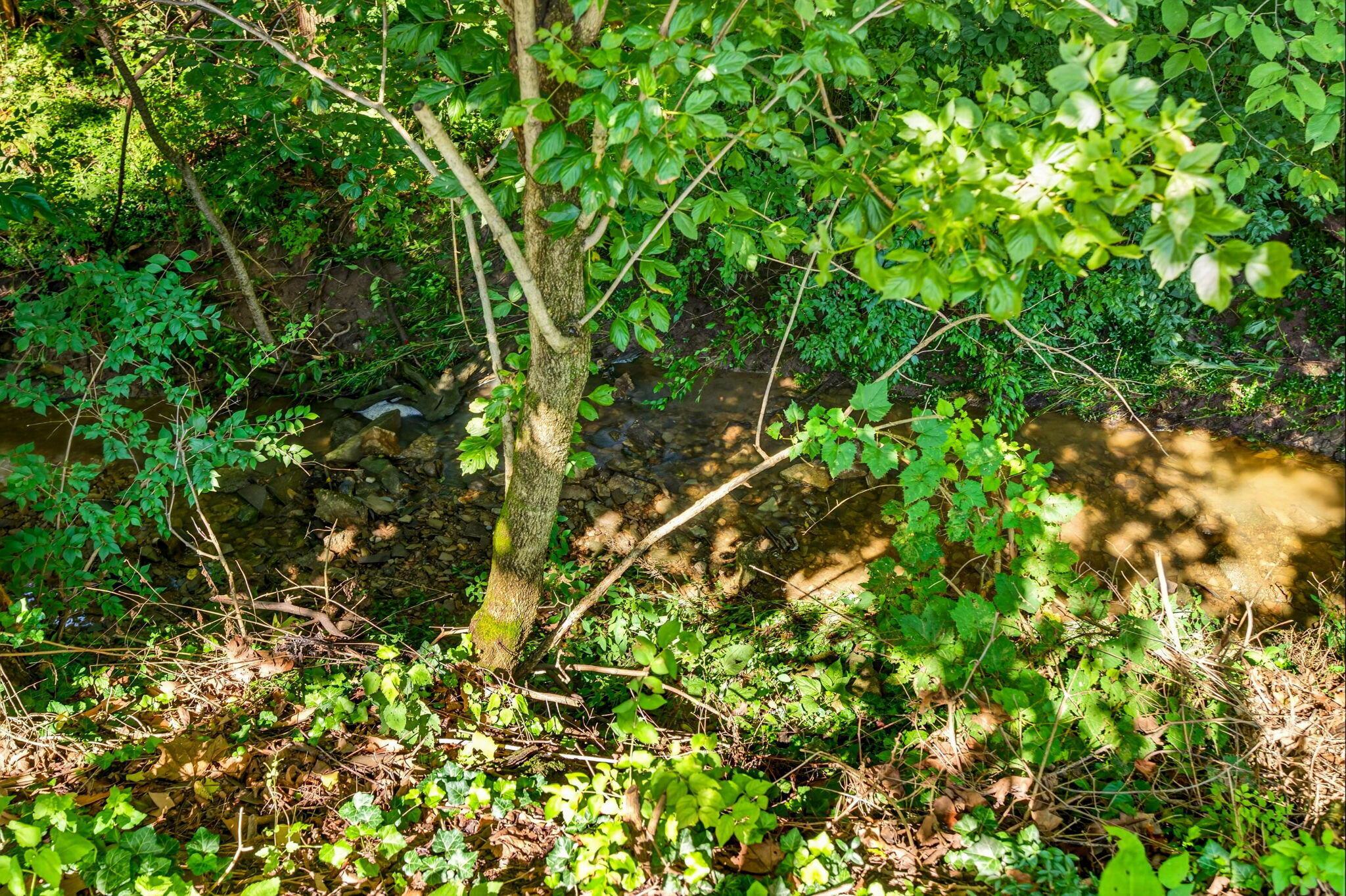 3545 Cedar Hill Road Nw Property Photo 84