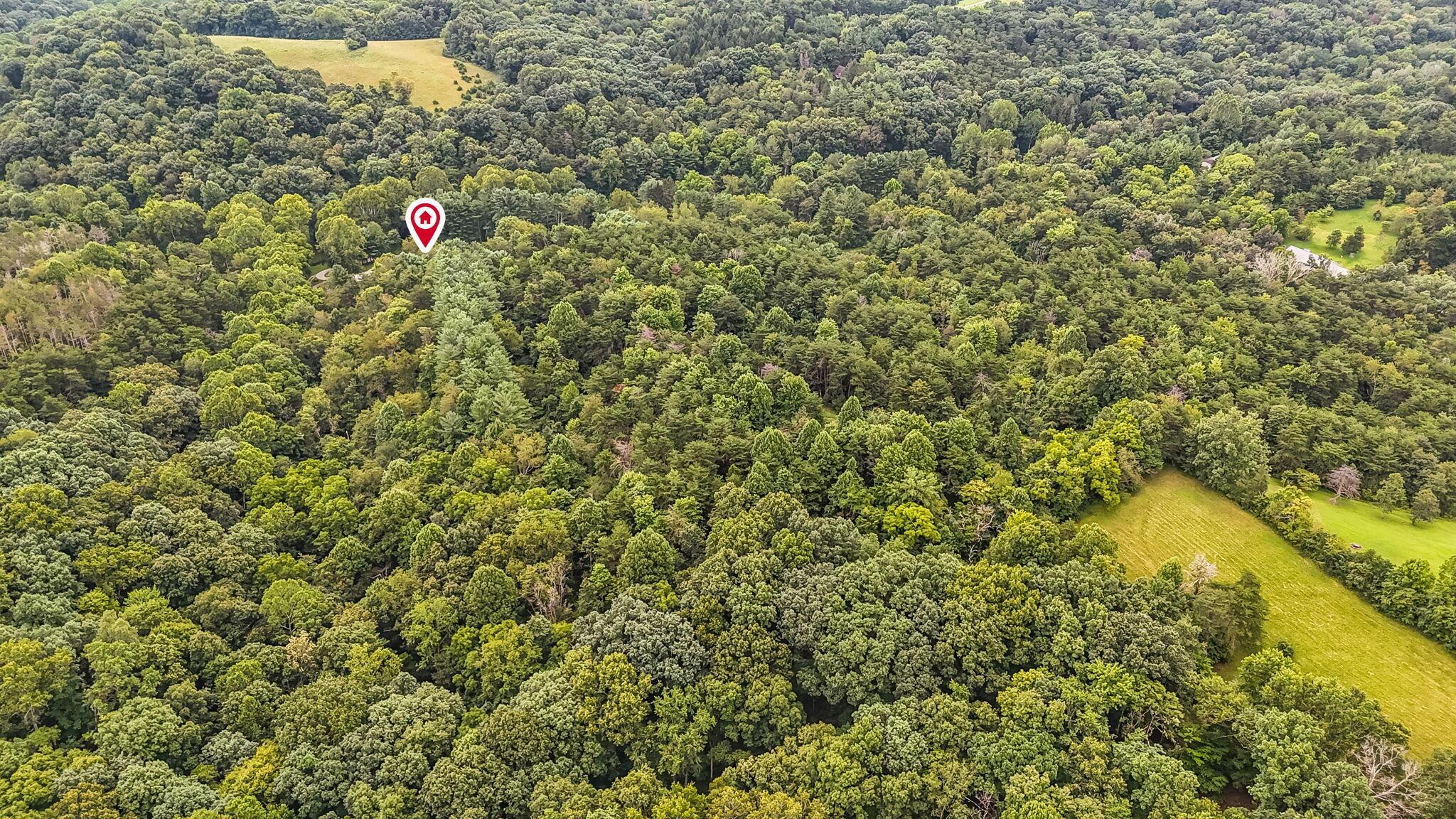 14933 Rhoads Road Property Photo 85