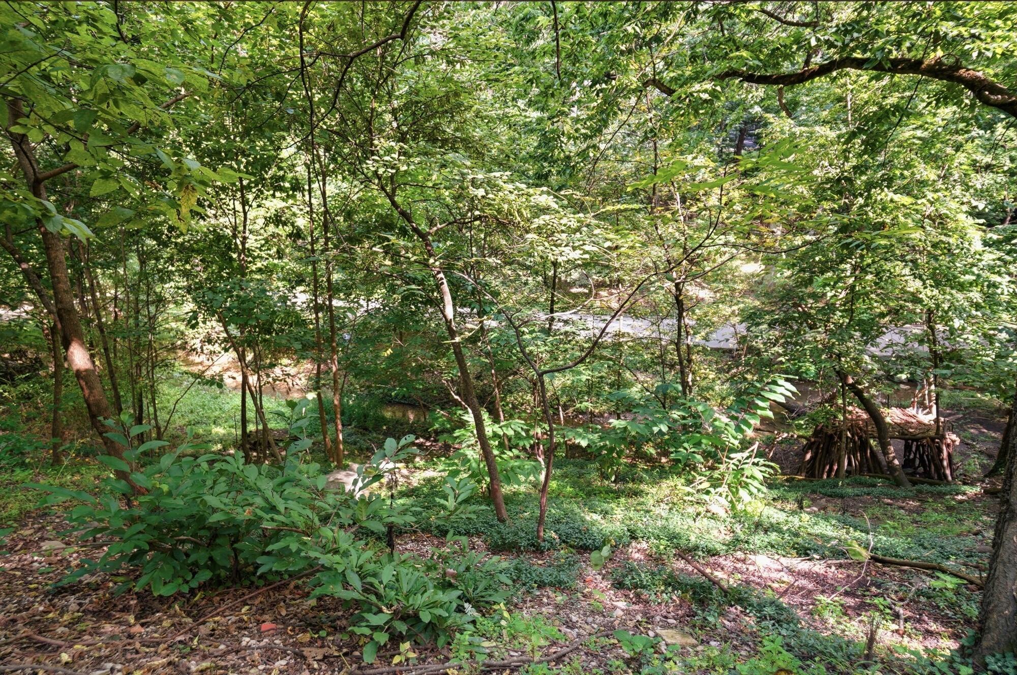 296 Walhalla Road Property Photo 118
