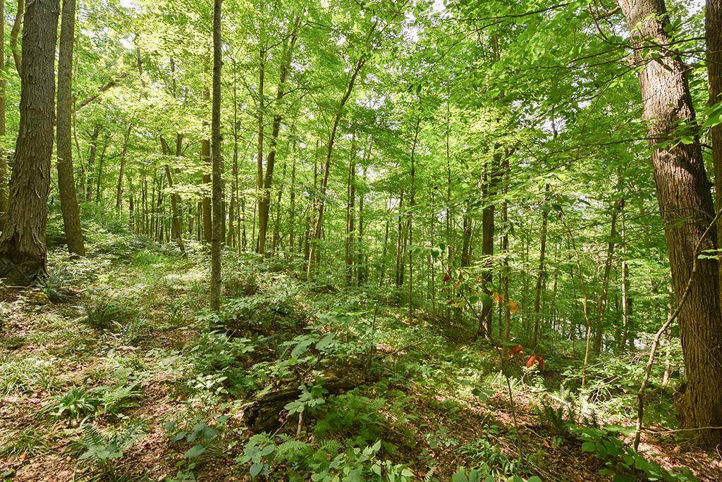 182 Sunfish Creek Road, 1 Property Photo 31