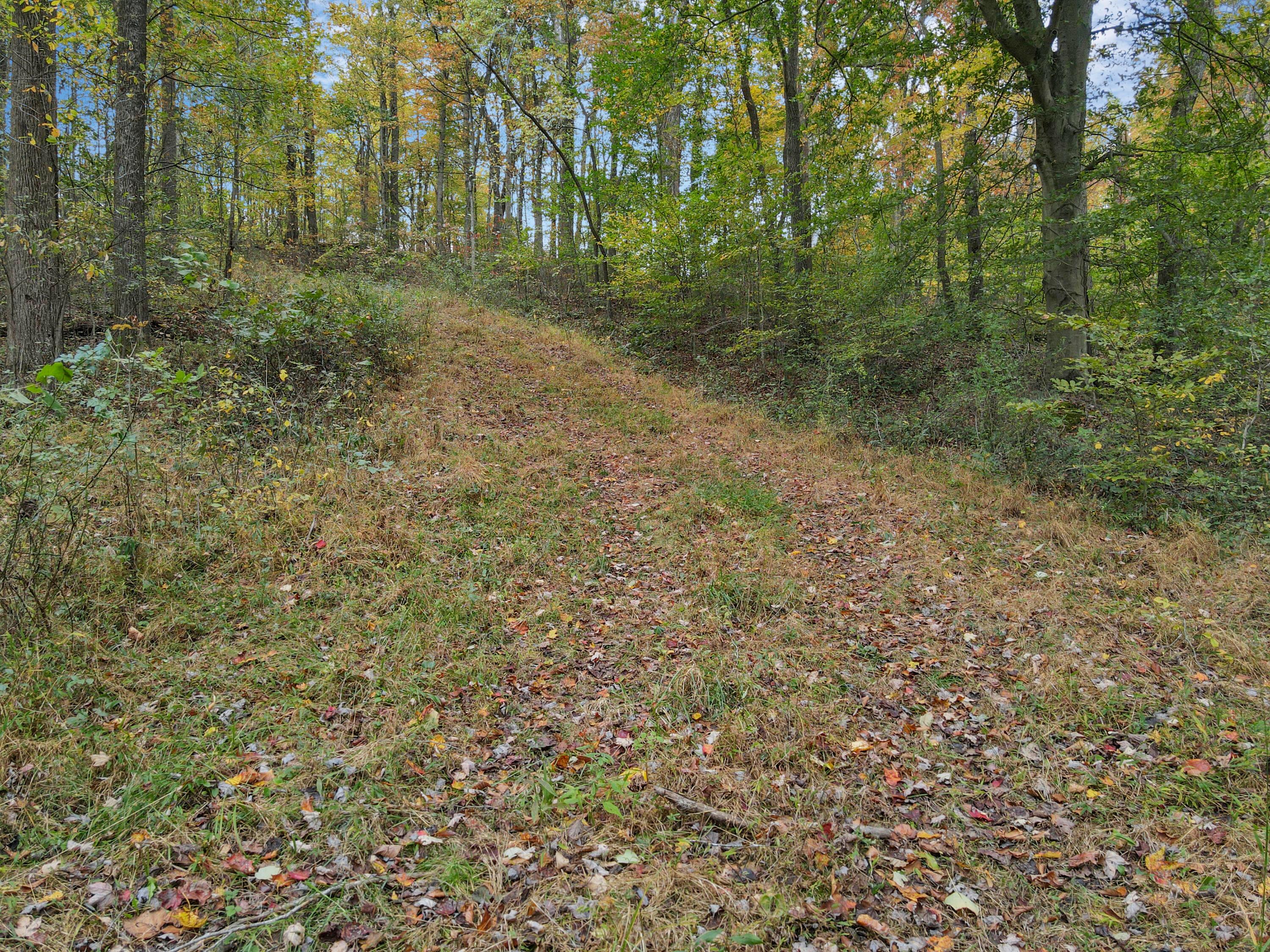 9600 Larimer Road Property Photo 25