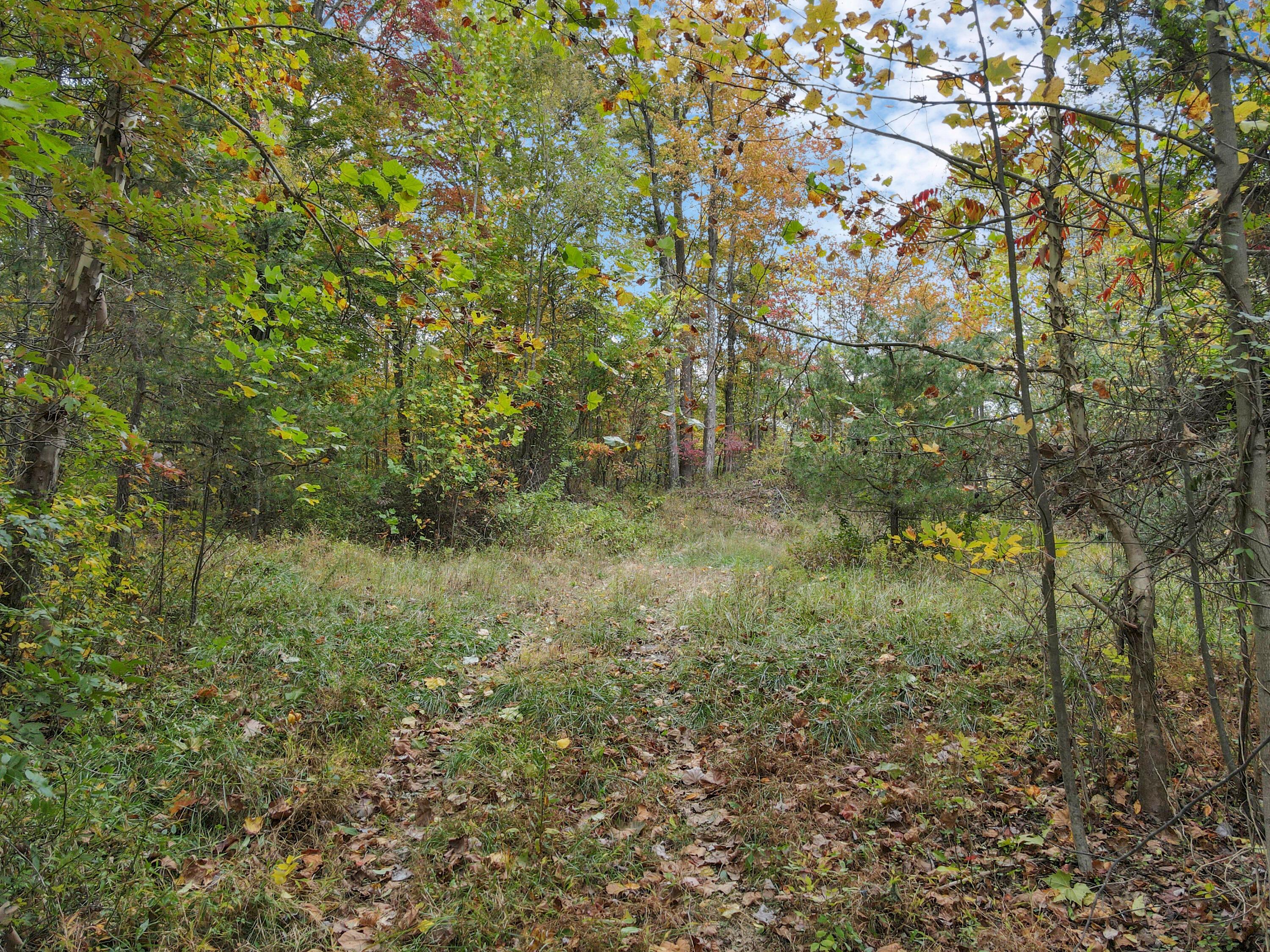 9600 Larimer Road Property Photo 26