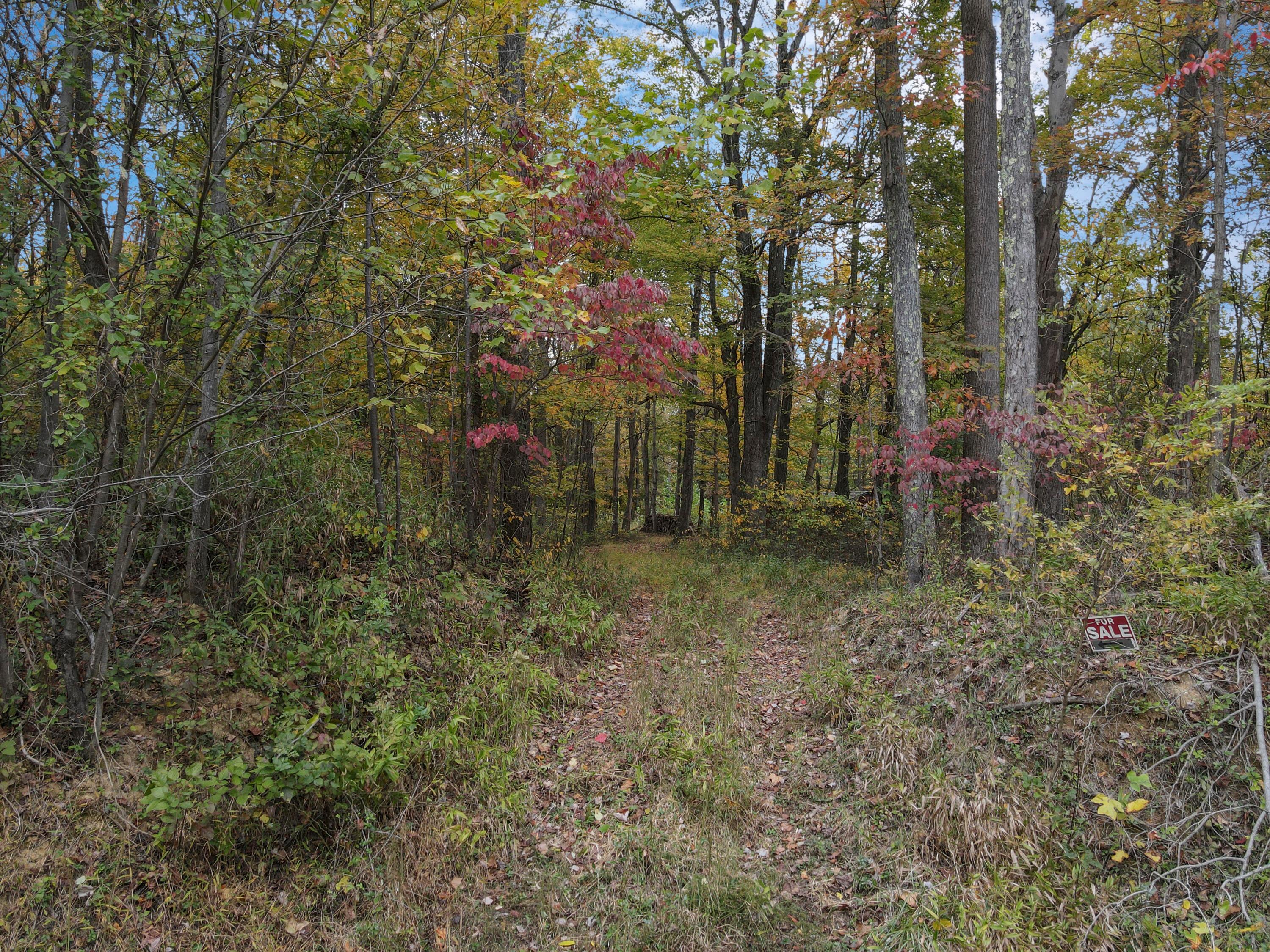9600 Larimer Road Property Photo 27