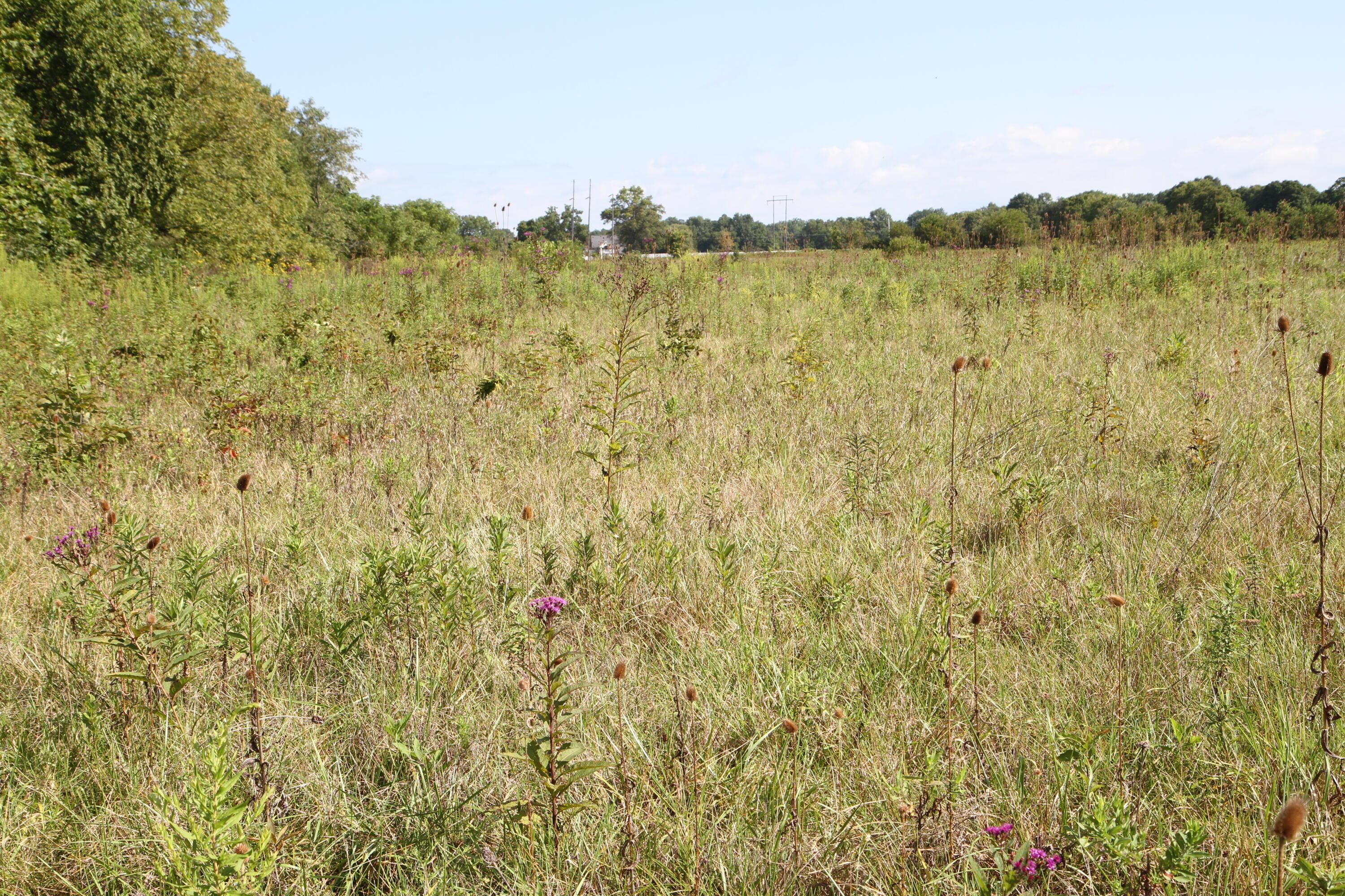 4350 Us-42 S Property Photo 4