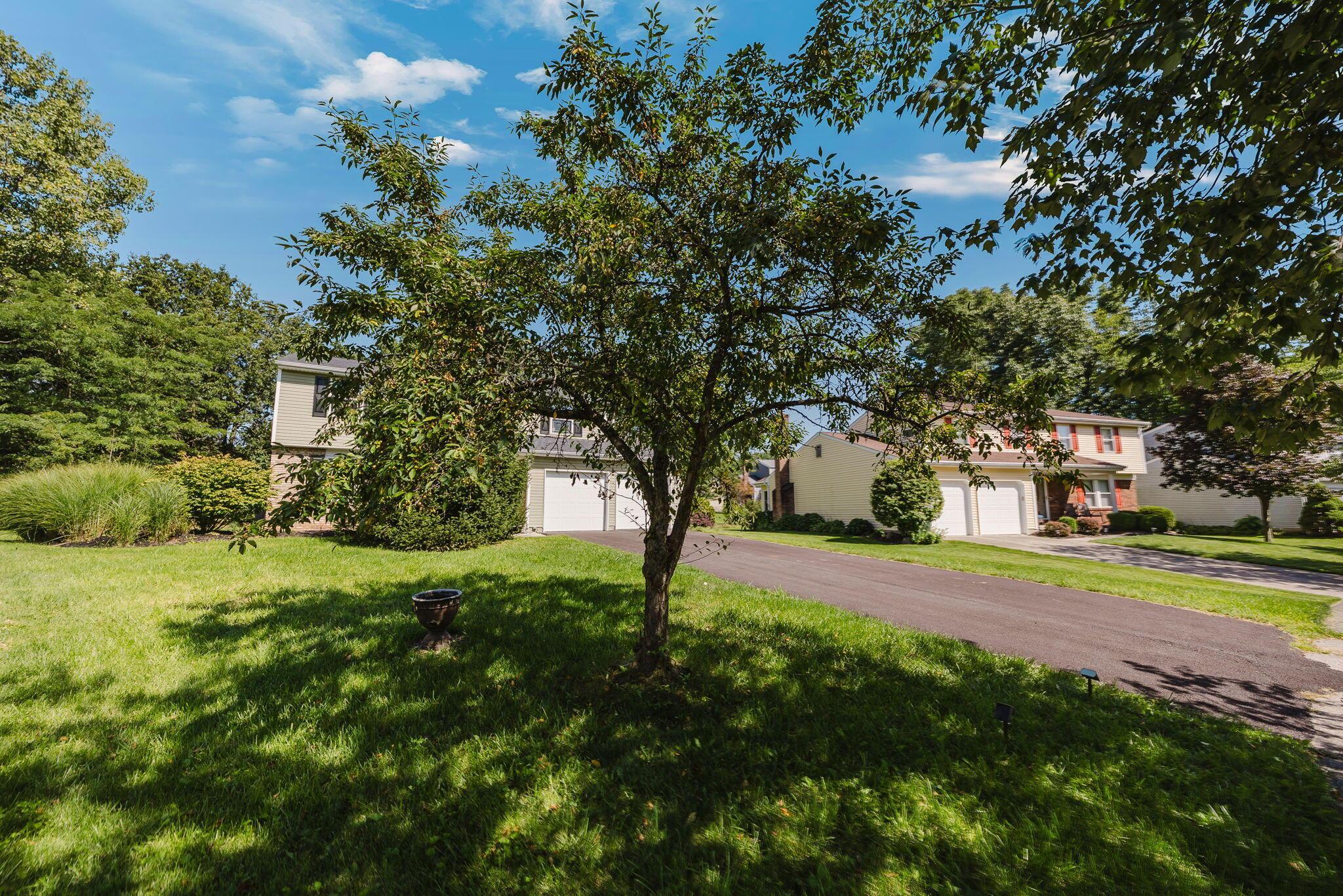 5298 Predmore Place Property Photo 59