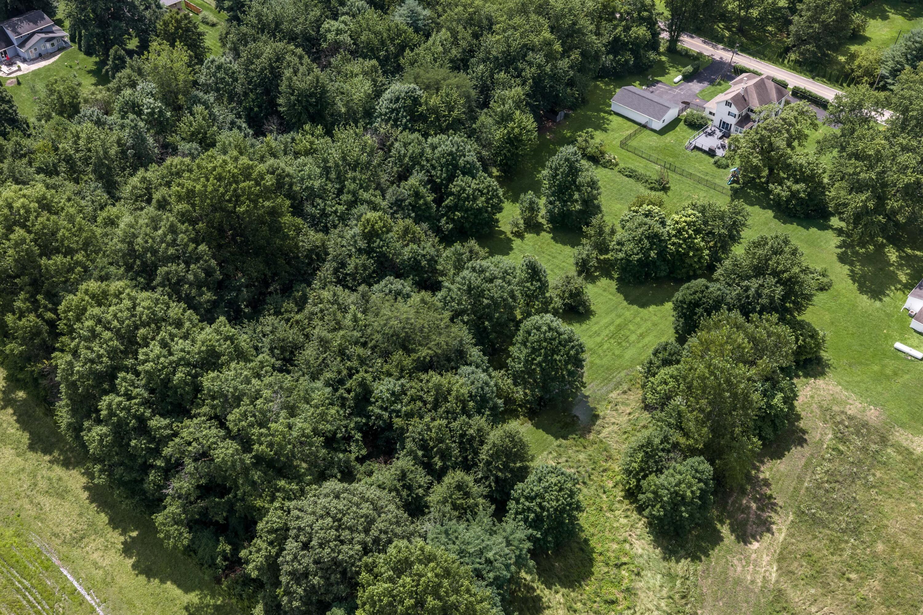 4906 Babbitt Road Property Photo 11