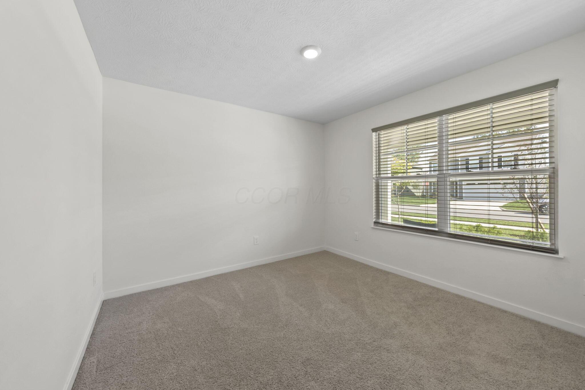 6558 Pfeifer Ash Drive Property Photo 16