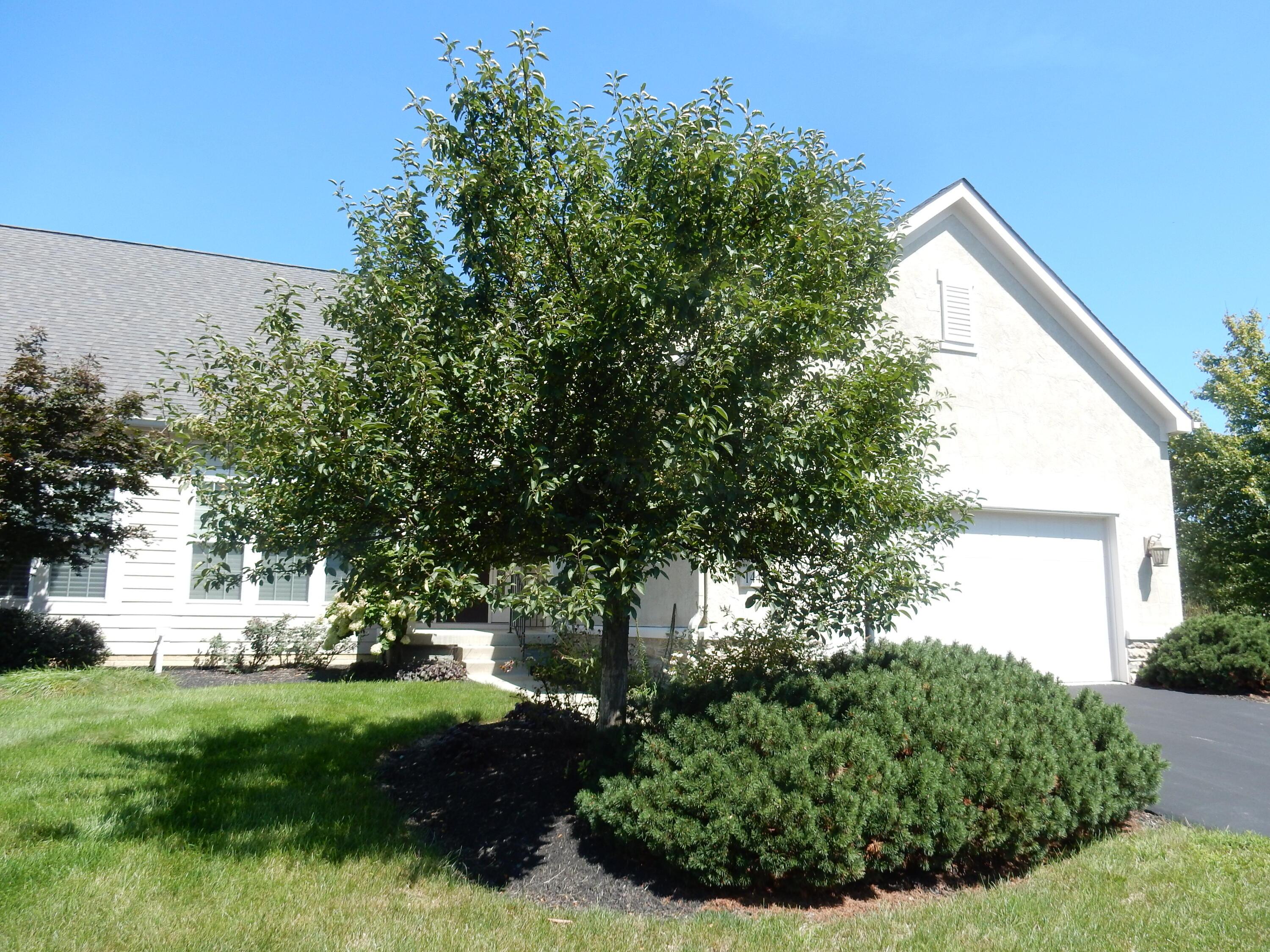 144 Tinley Park Circle Property Photo 2