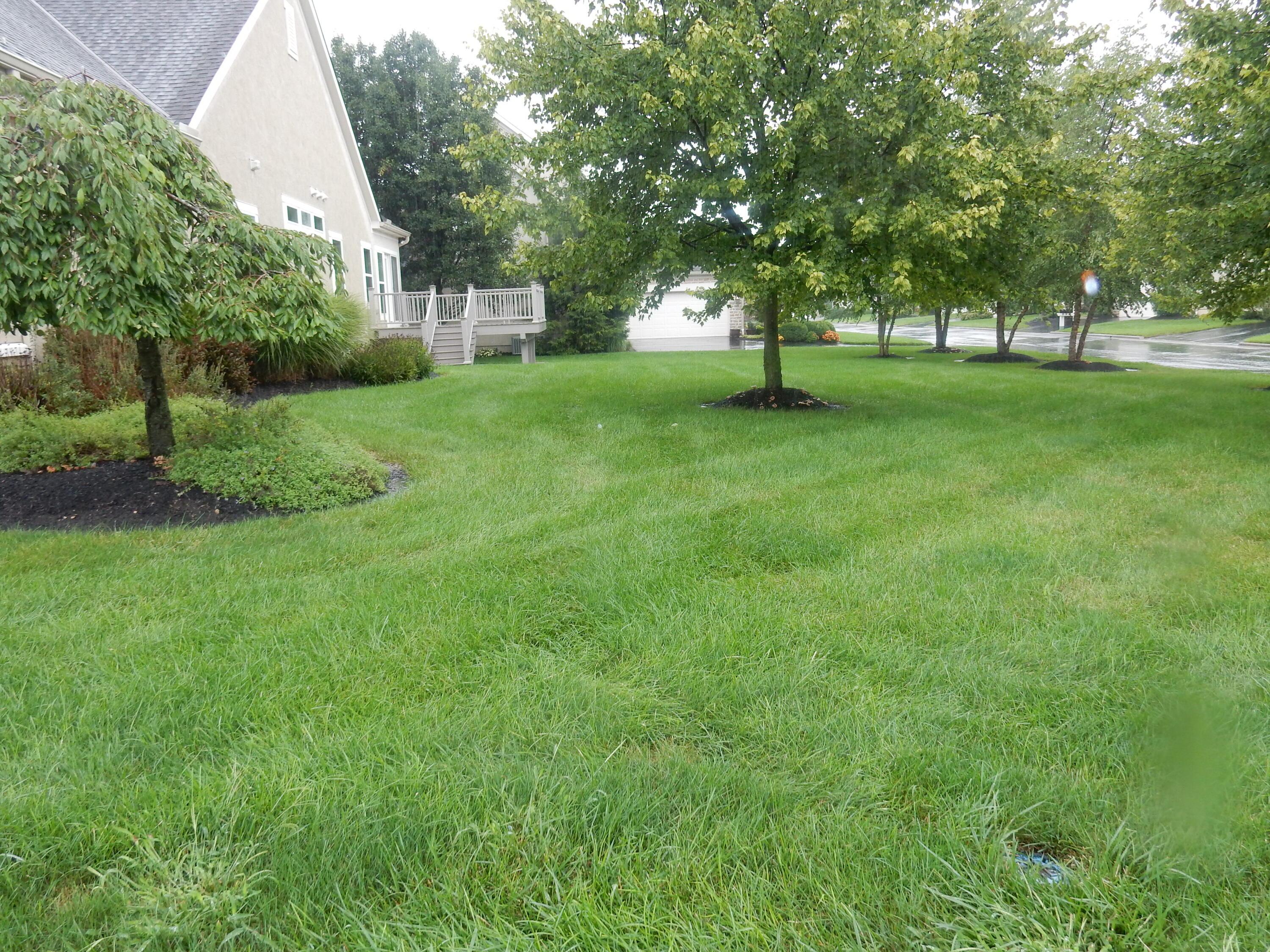144 Tinley Park Circle Property Photo 38