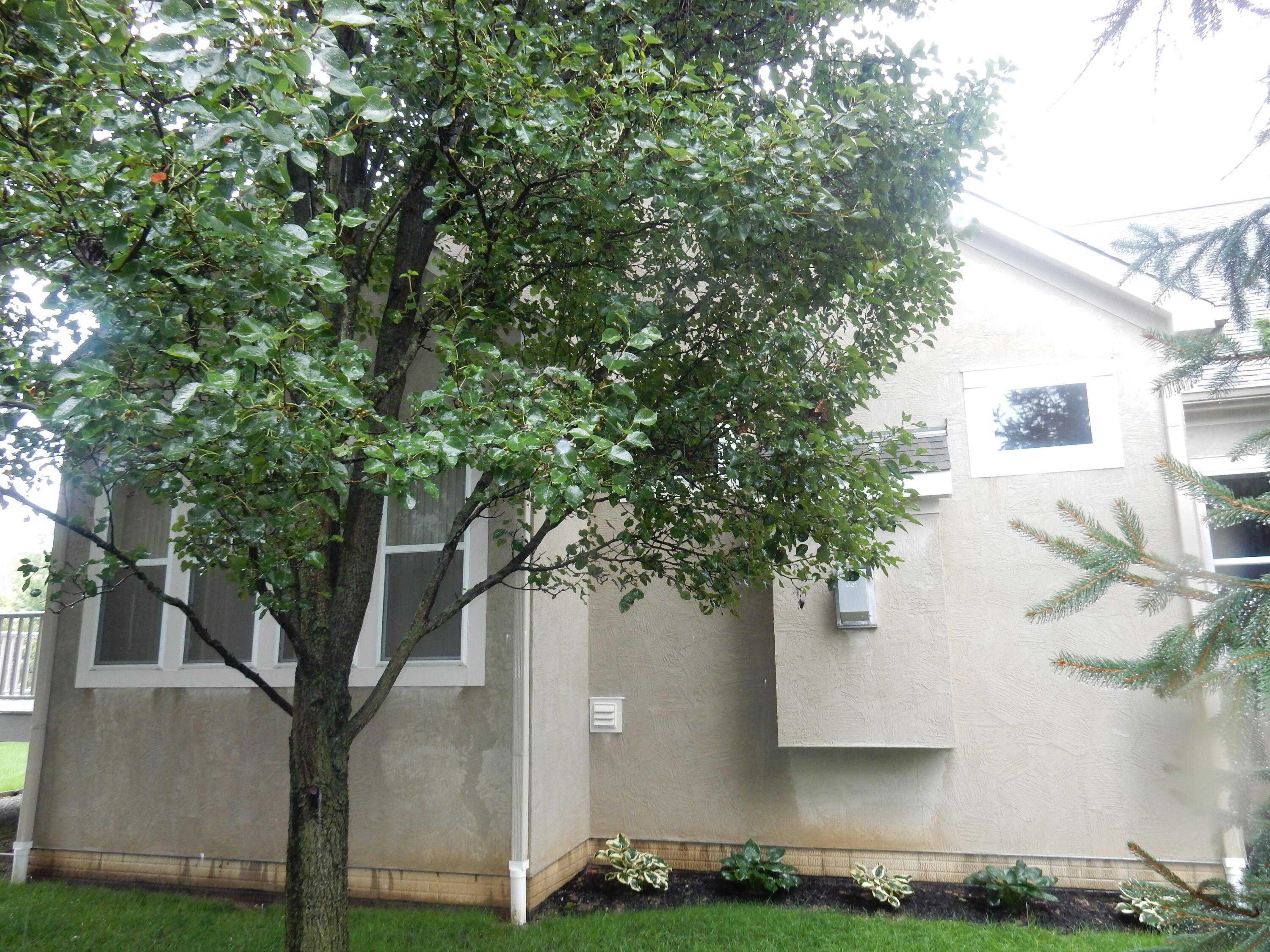 144 Tinley Park Circle Property Photo 40