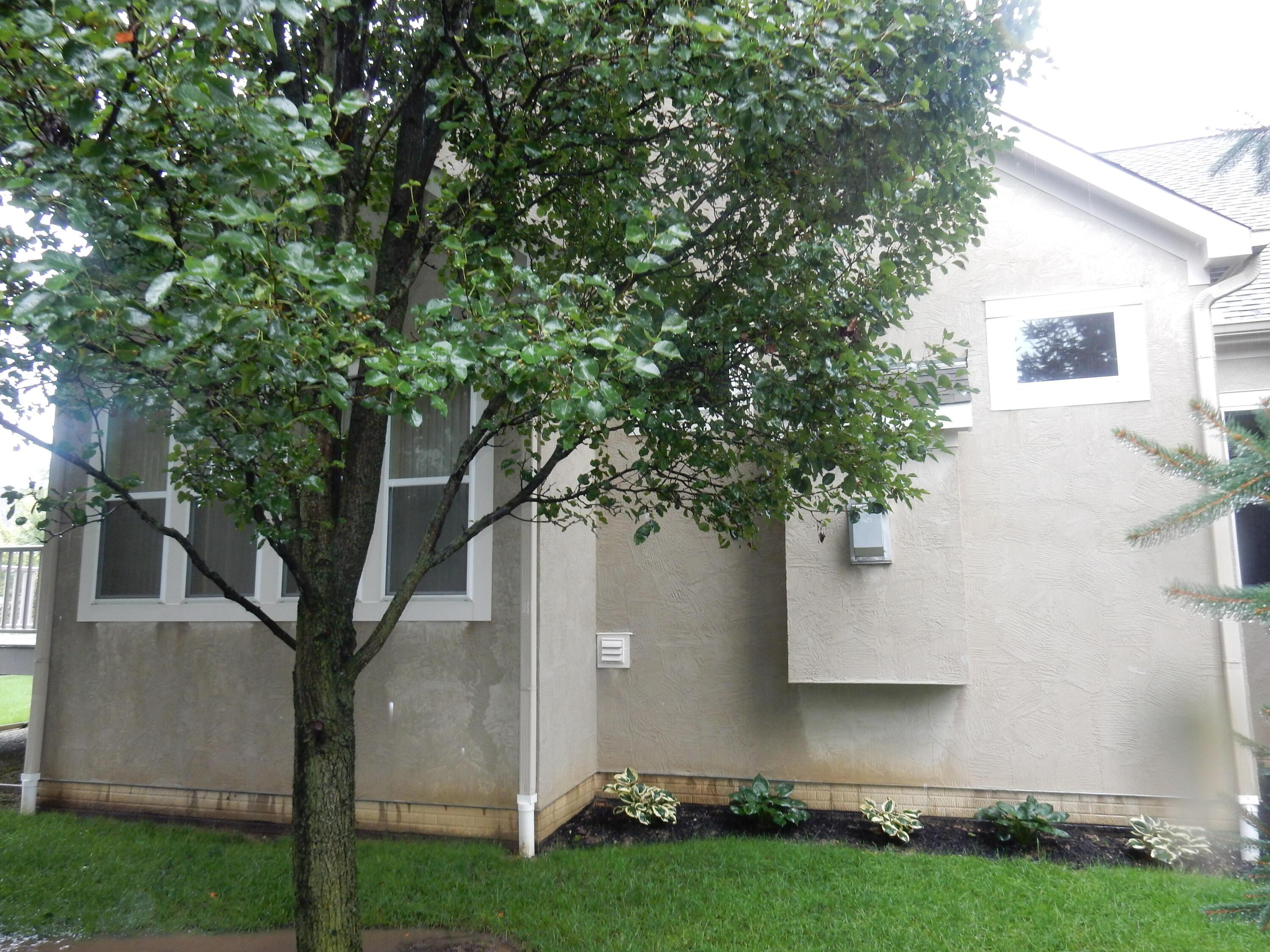 144 Tinley Park Circle Property Photo 41