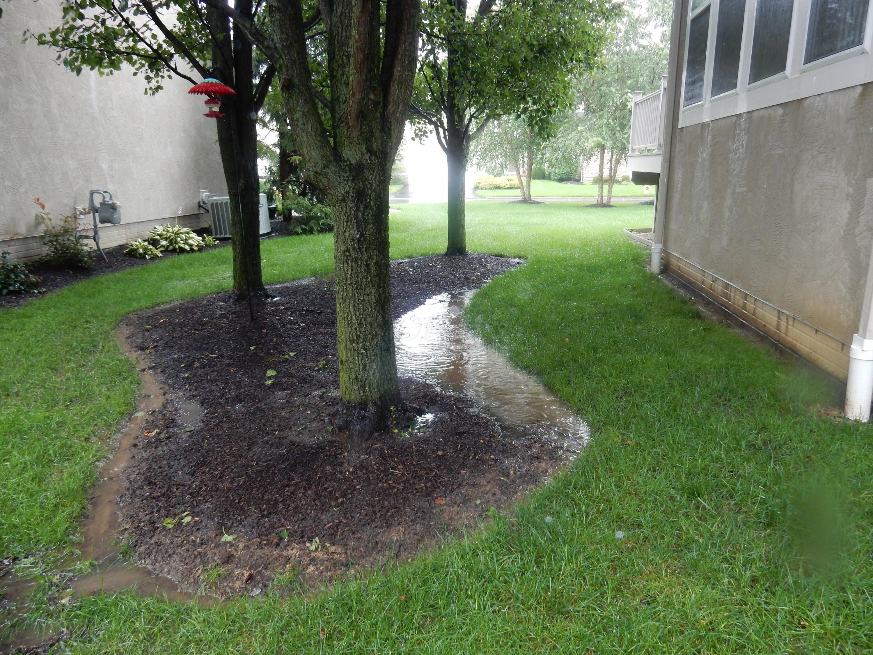 144 Tinley Park Circle Property Photo 42
