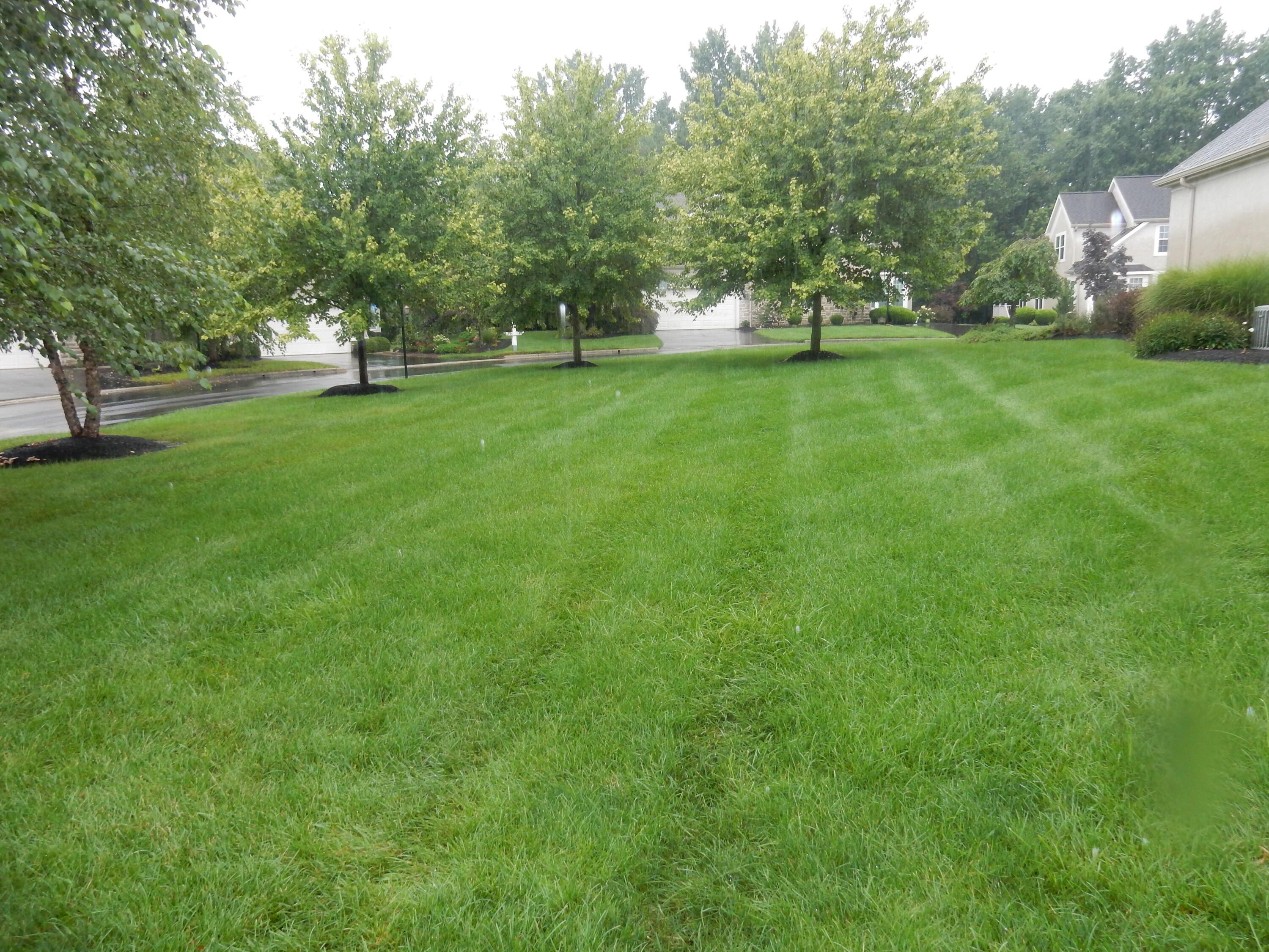 144 Tinley Park Circle Property Photo 43