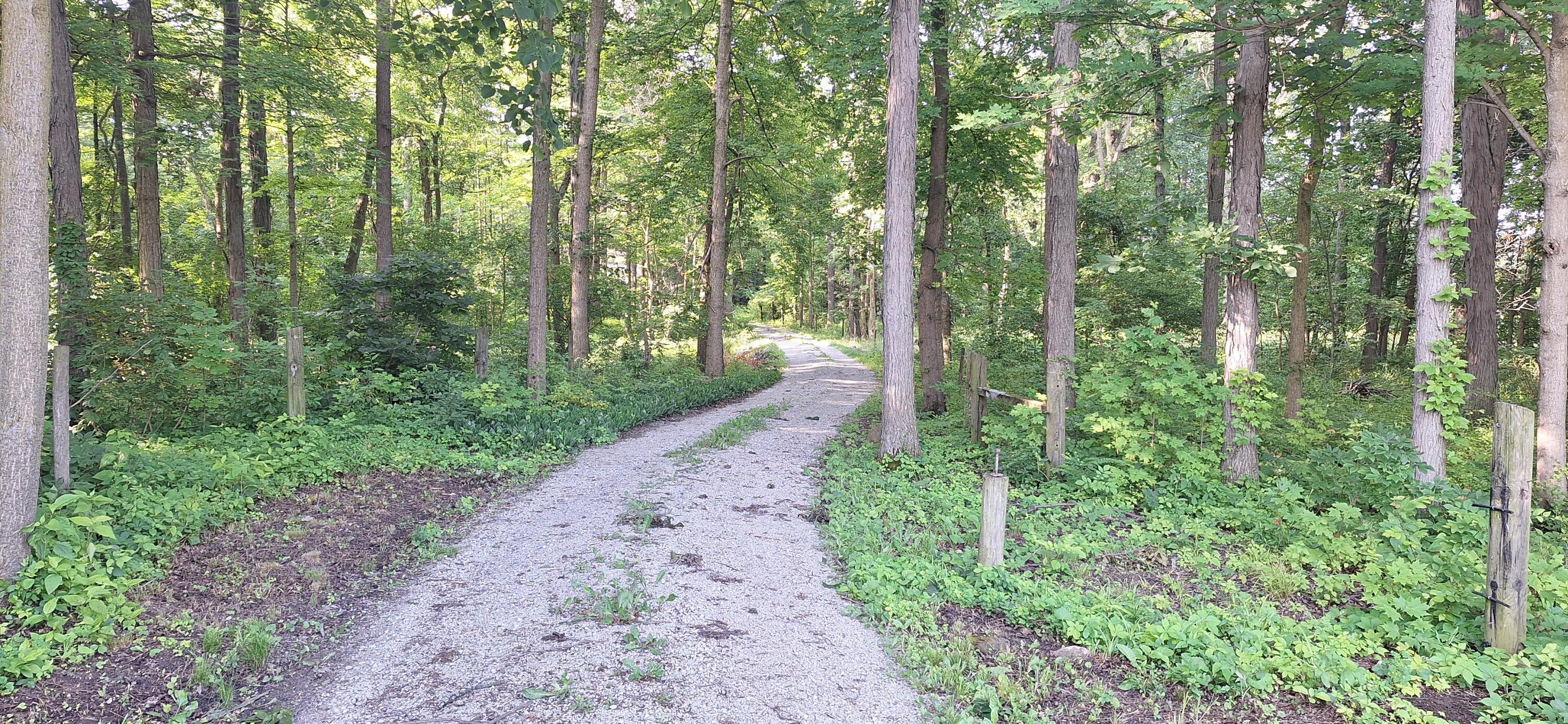 19508 County Road 190 Property Photo 17