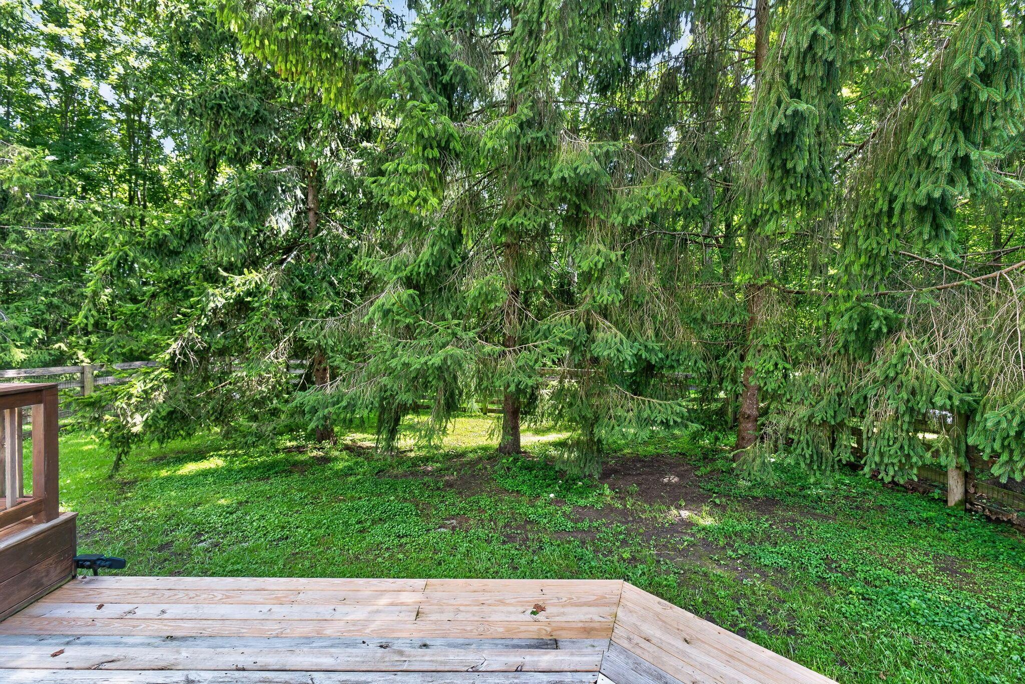 19508 County Road 190 Property Photo 30