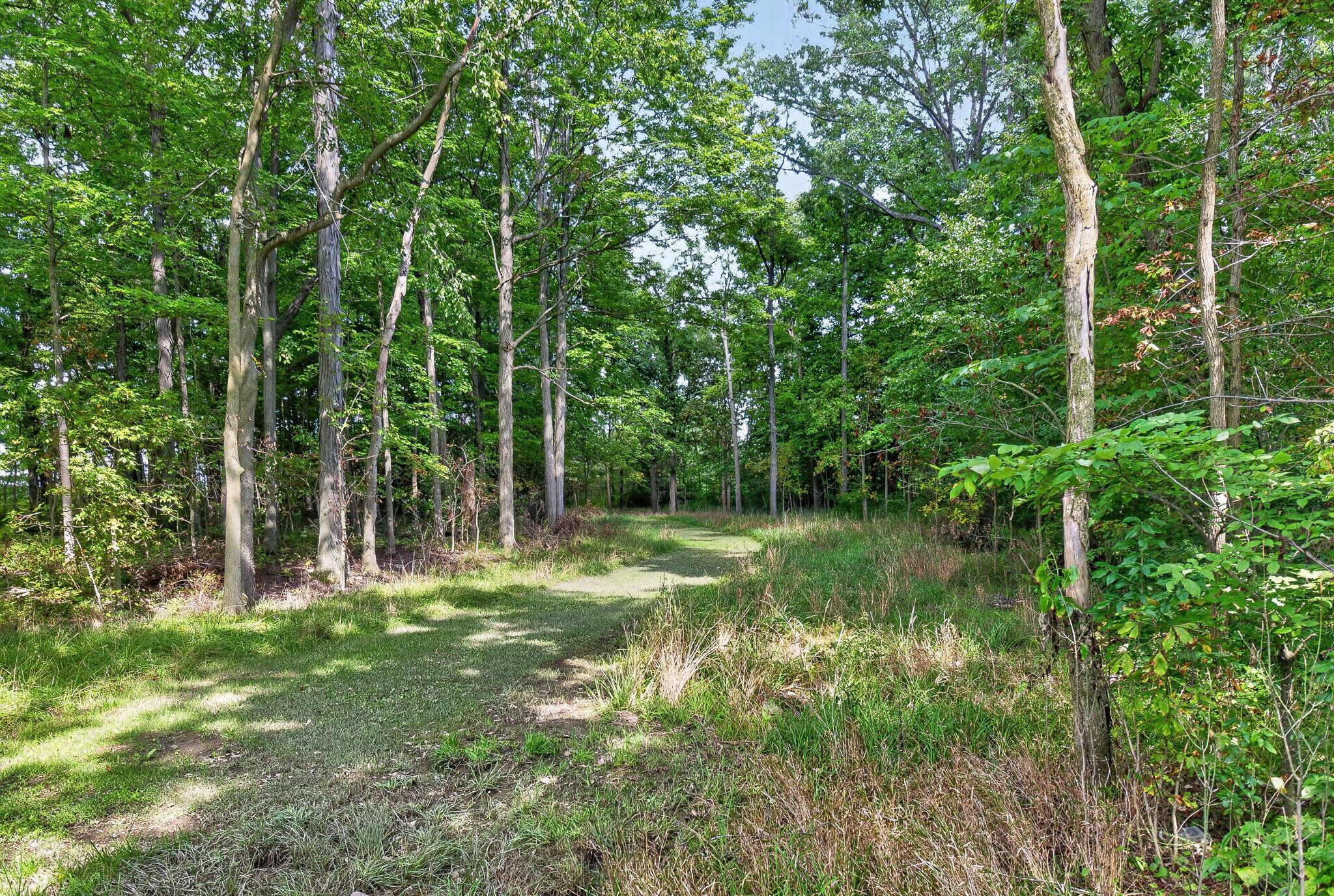 19508 County Road 190 Property Photo 92