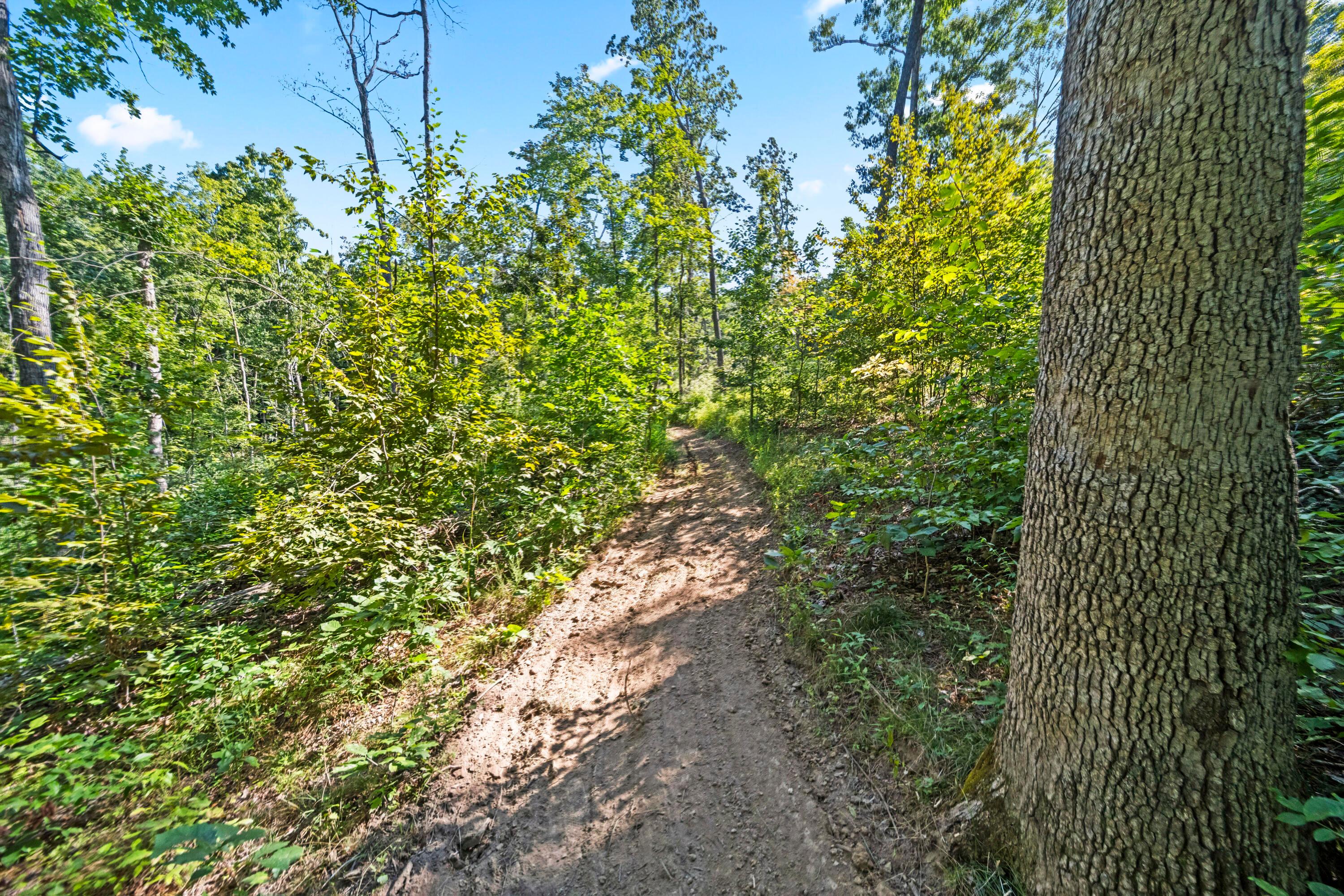 67 England Hollow Property Photo 43