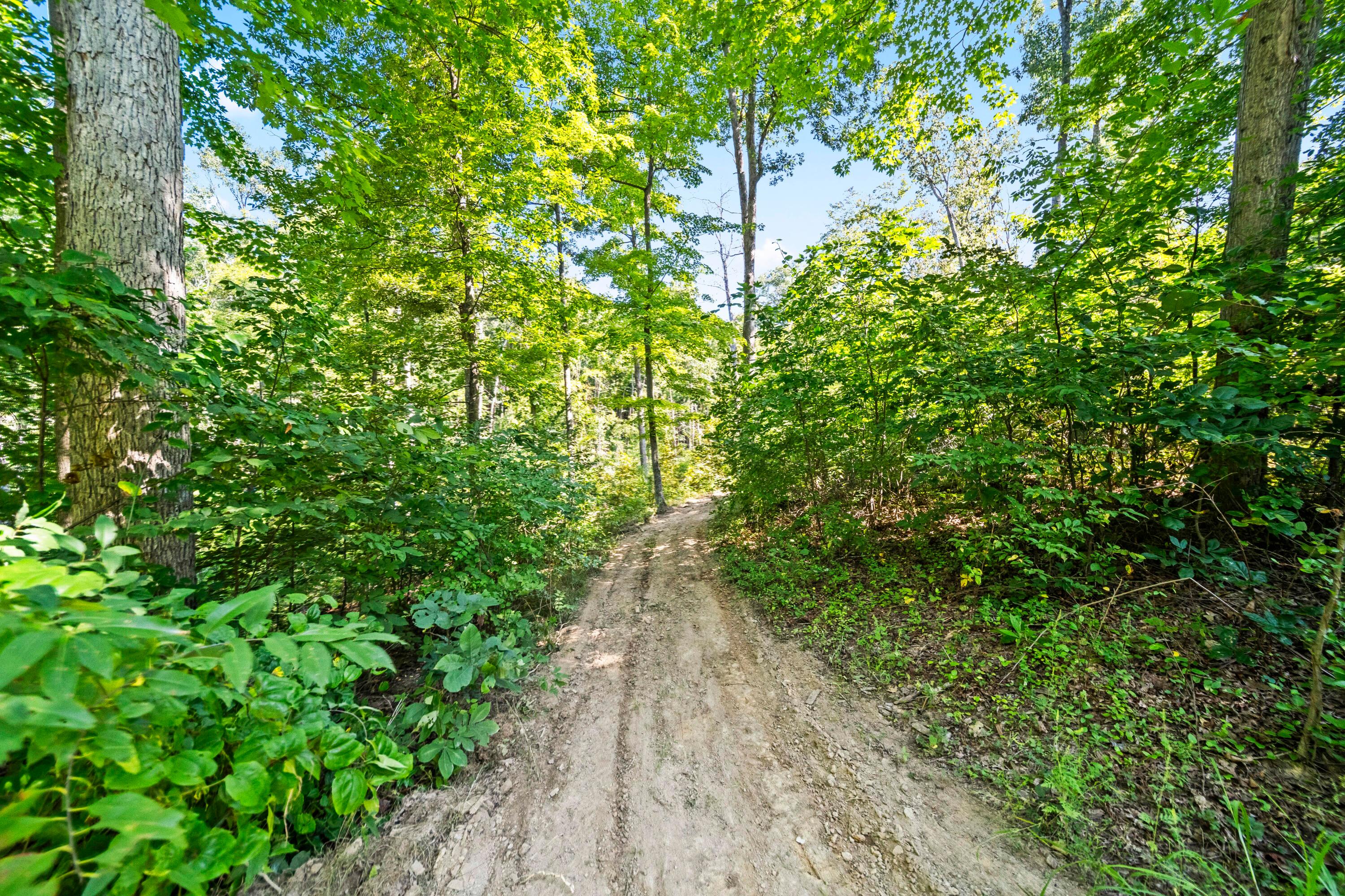 67 England Hollow Property Photo 44