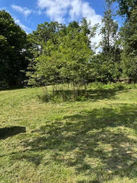 760 Walnut Dowler Road Property Photo 4