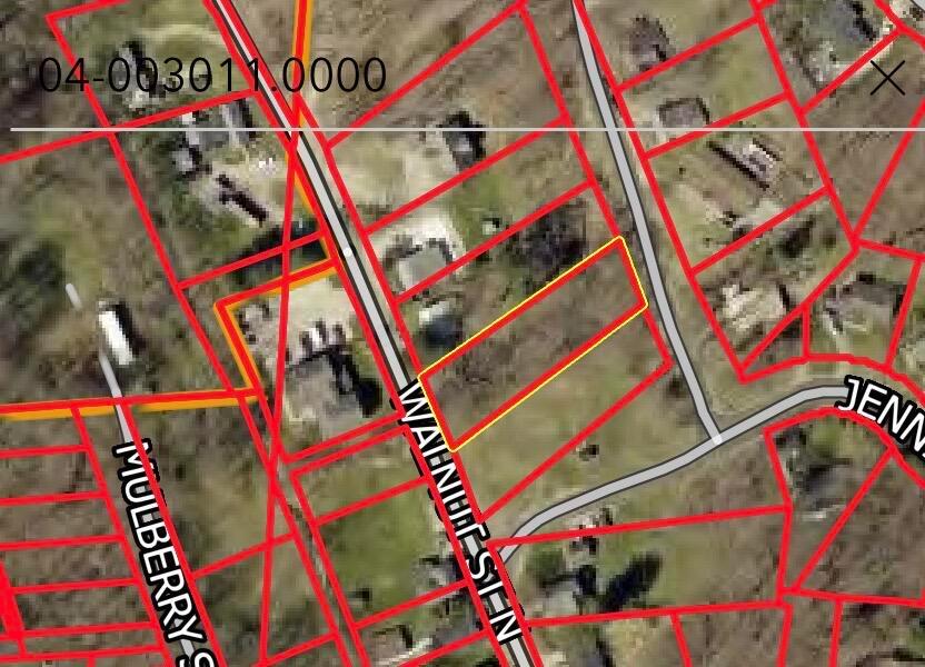 0 Walnut-Dowler Road Property Photo 1