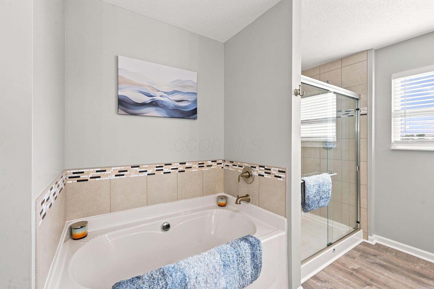 244 White Elm Drive Property Photo 41