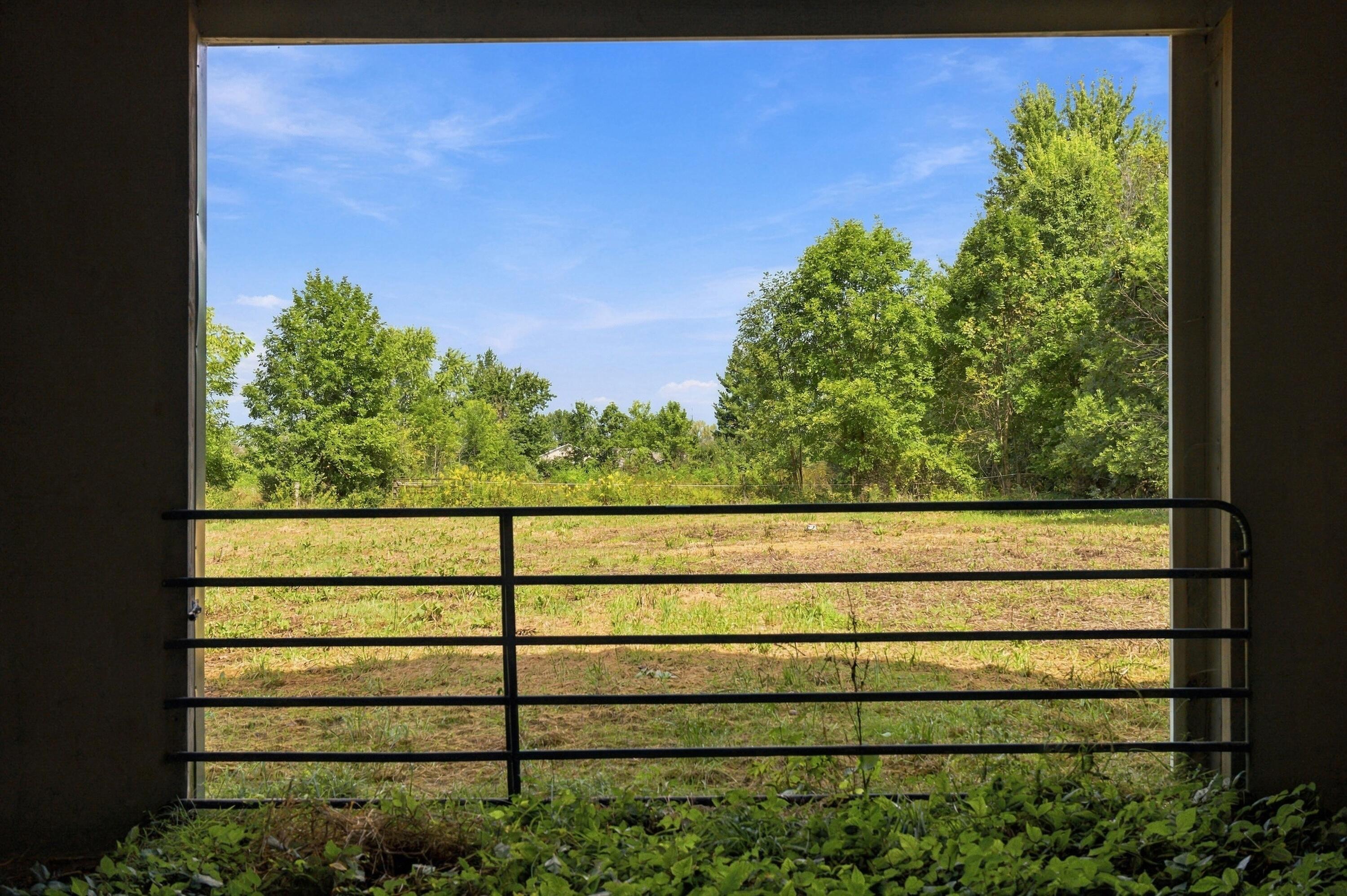 8216 Kennedy Road Property Photo 25