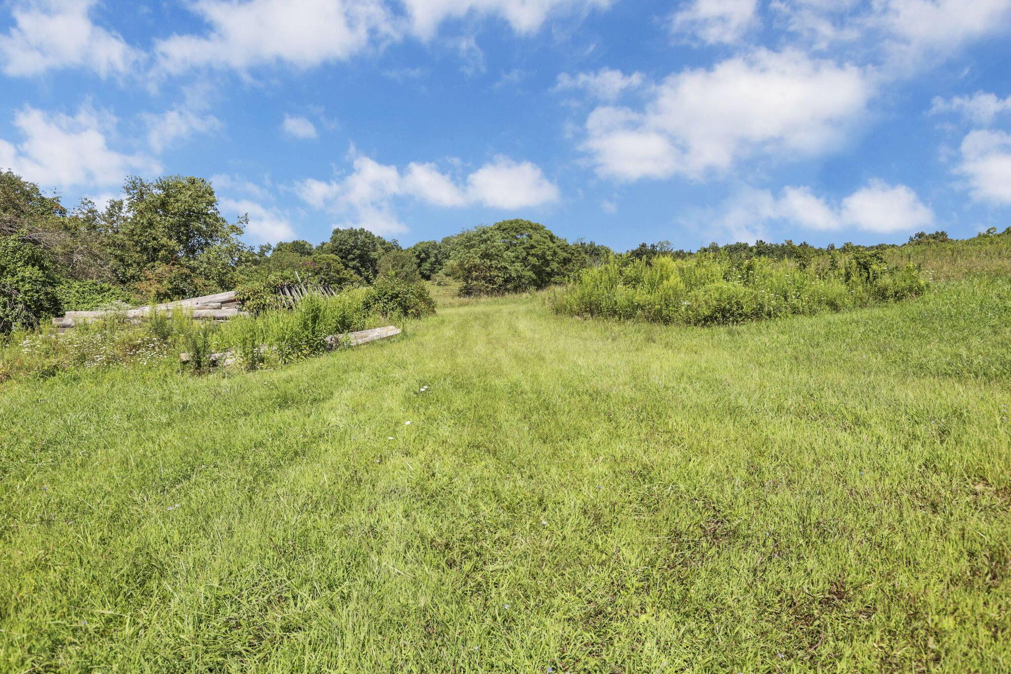 16451 Cox Road Property Photo 28