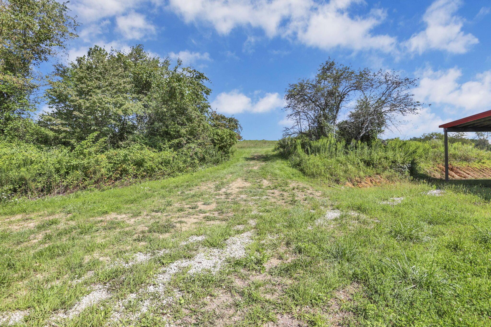 16451 Cox Road Property Photo 31
