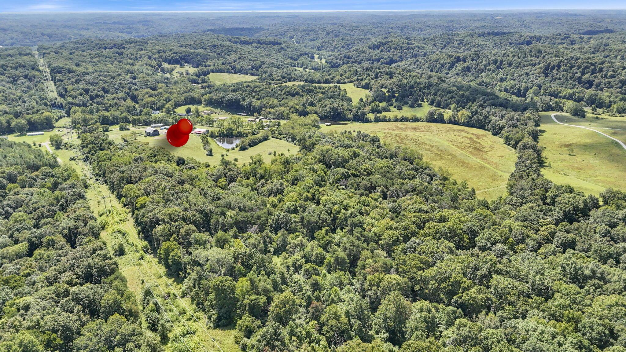 16451 Cox Road Property Photo 39