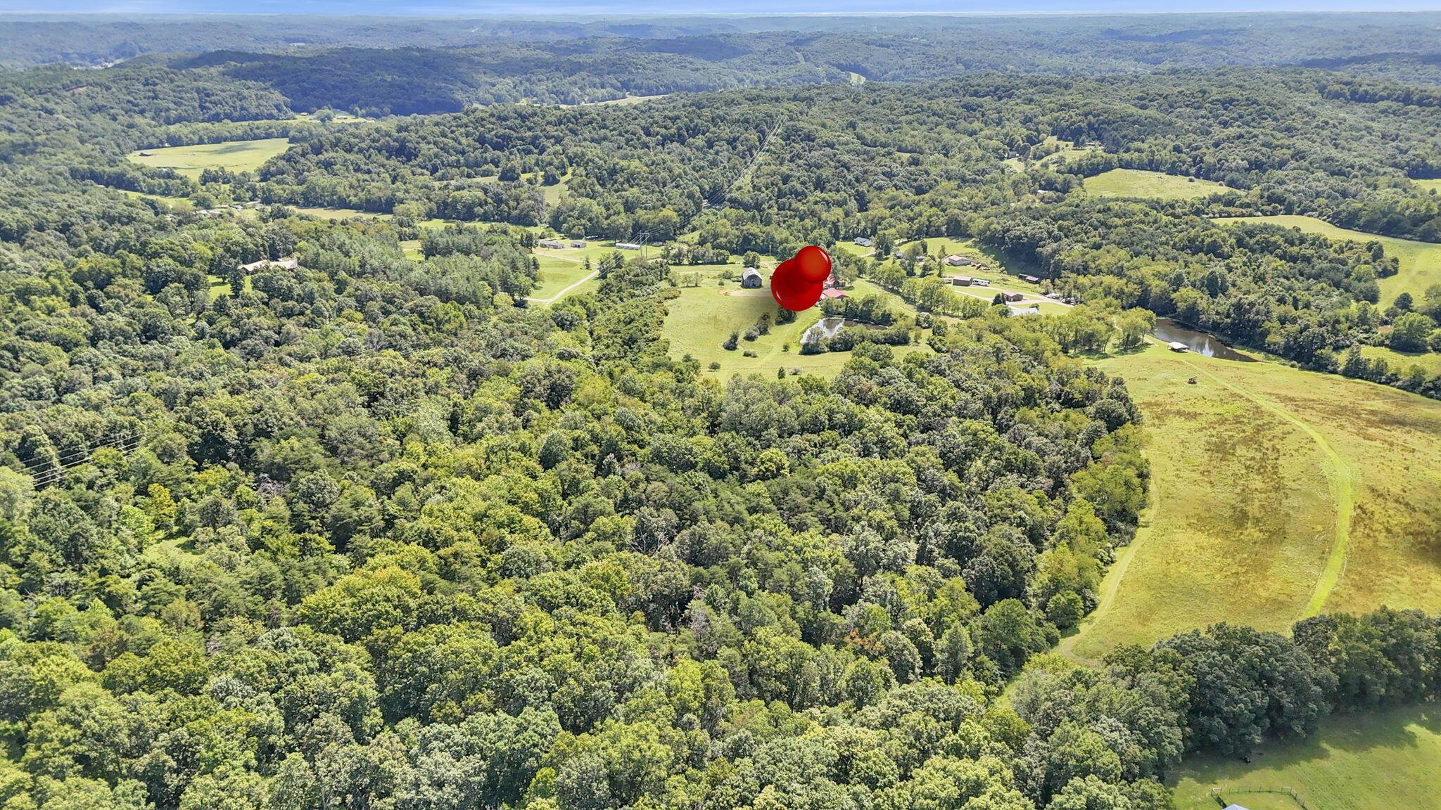 16451 Cox Road Property Photo 40
