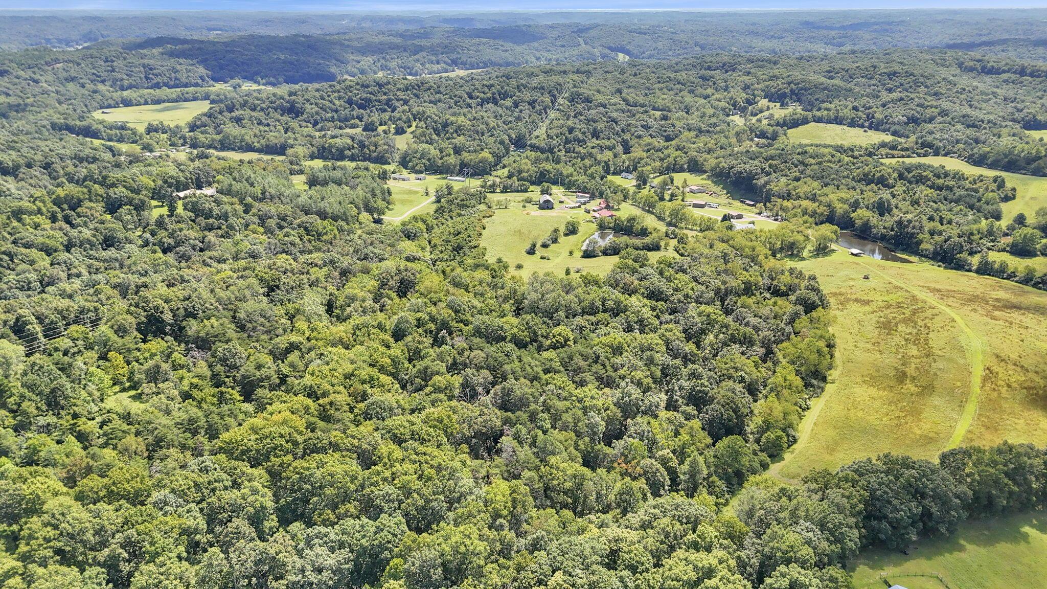 16451 Cox Road Property Photo 41