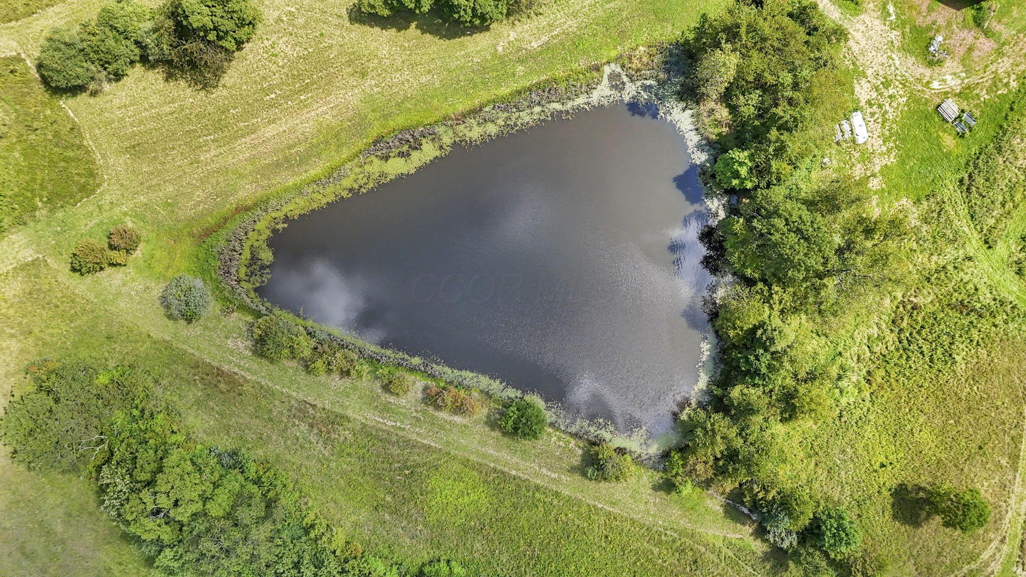 16451 Cox Road Property Photo 43